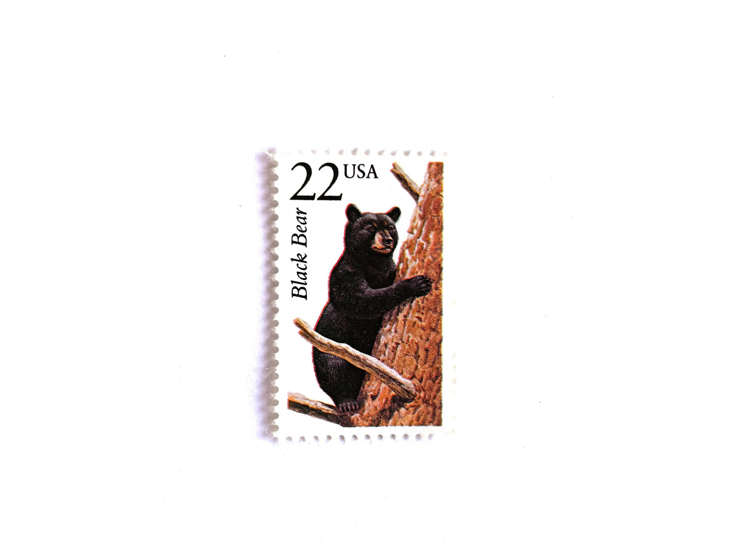 Black Bear Stamps (North American Wildlife Series, Multicolored) Vintage Unused USPS Postage 22c