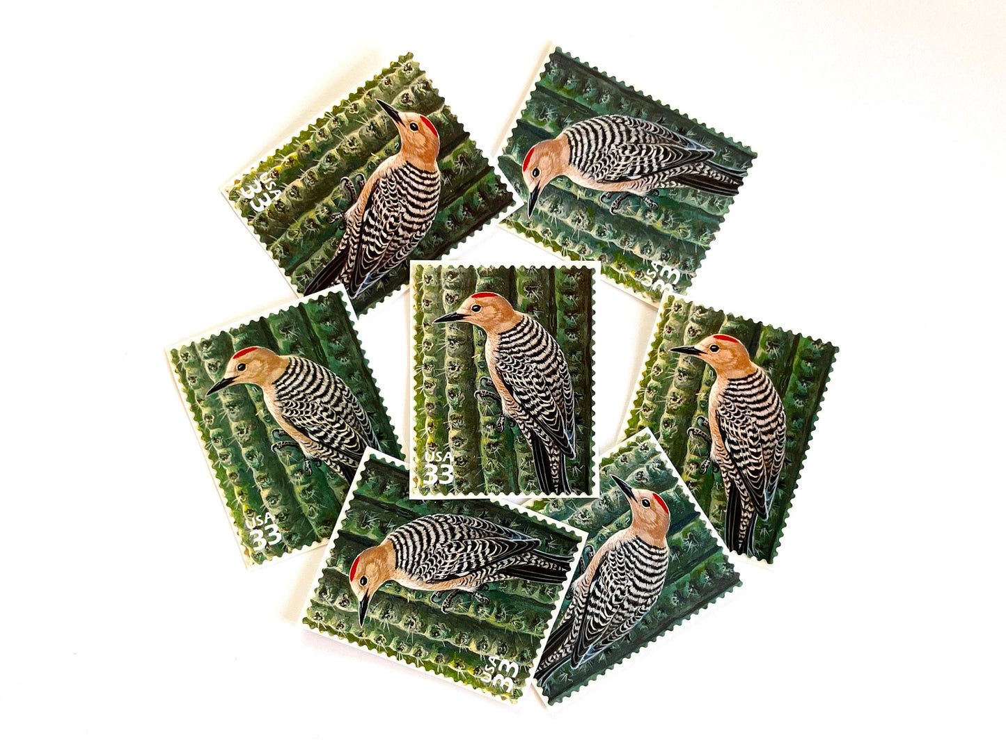Sonoran Desert Gila Woodpecker Stamps (Nature of America Series, Birds, Desert) Vintage Unused USPS Postage 33c