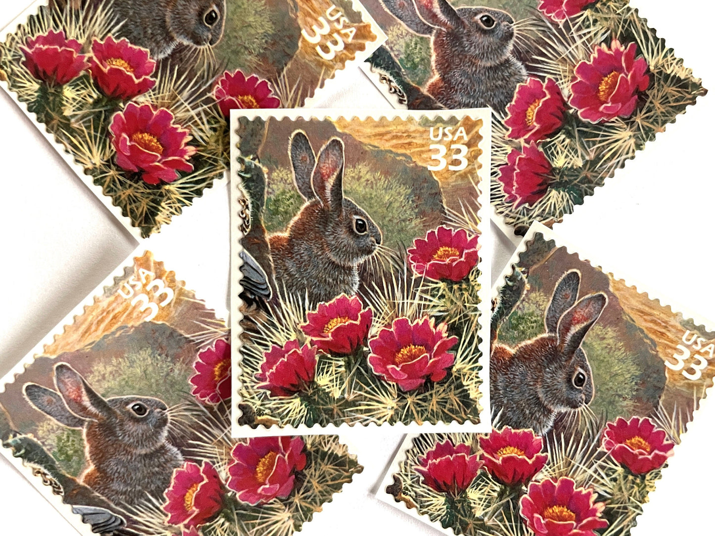 Sonoran Desert Cottontail Rabbit Stamps (Nature of America Series, Wild Animals, Bunny, Desert) Vintage Unused USPS Postage 33c