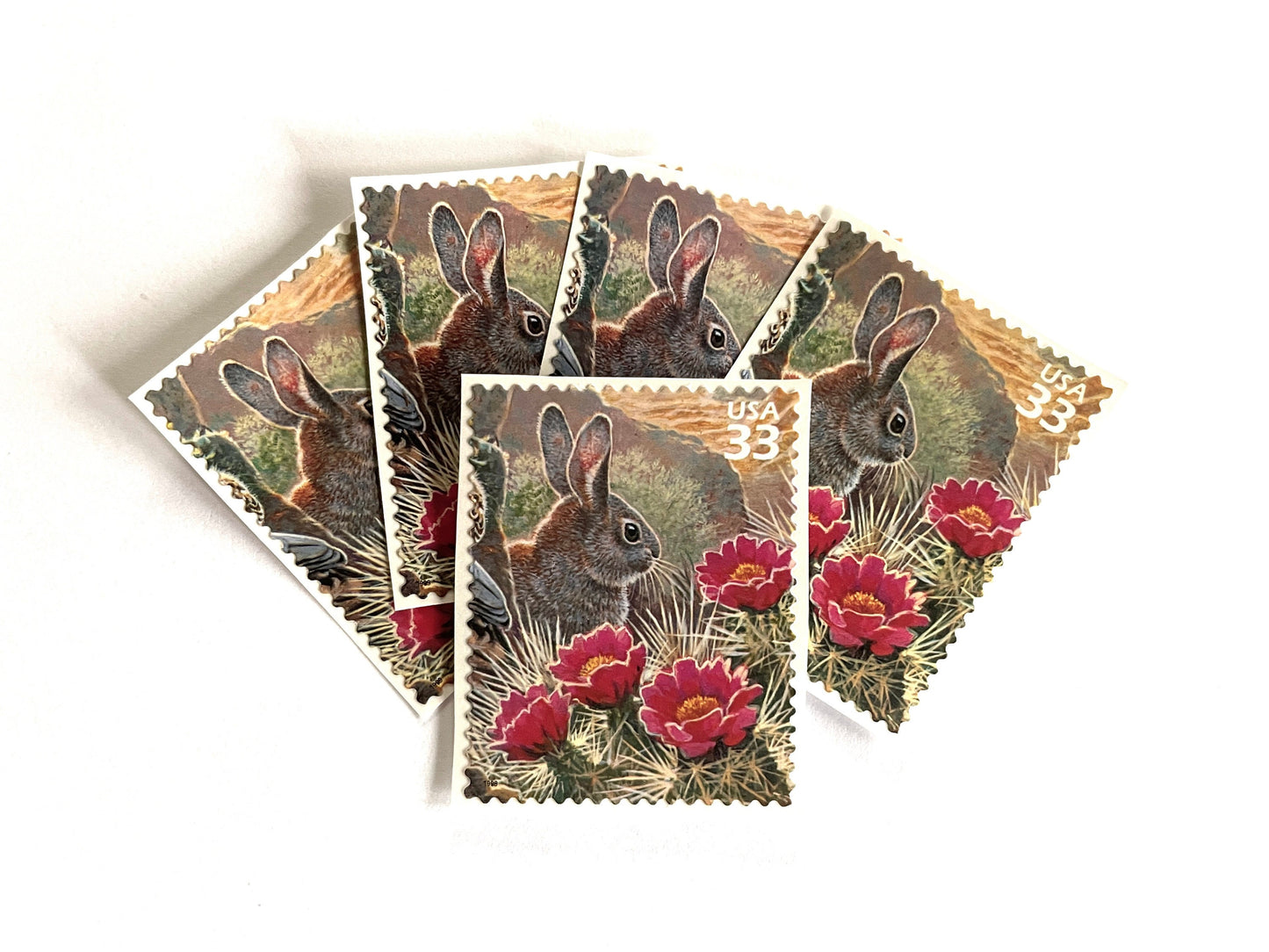 Sonoran Desert Cottontail Rabbit Stamps (Nature of America Series, Wild Animals, Bunny, Desert) Vintage Unused USPS Postage 33c