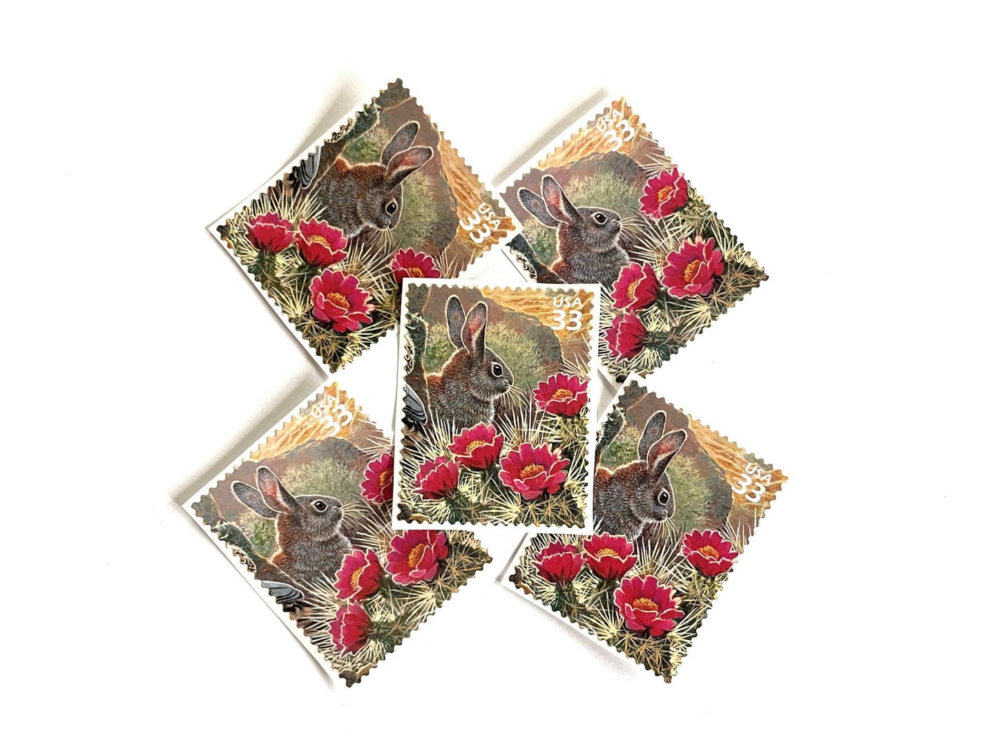 Sonoran Desert Cottontail Rabbit Stamps (Nature of America Series, Wild Animals, Bunny, Desert) Vintage Unused USPS Postage 33c