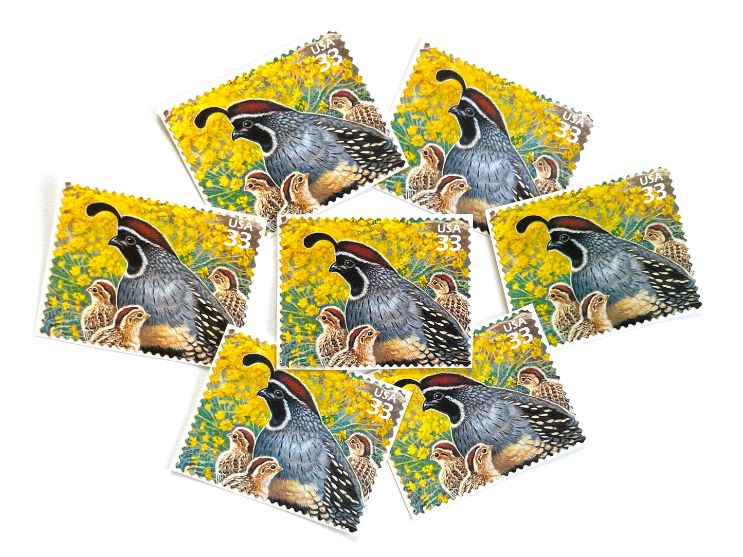 Sonoran Desert Gambel's Quail Stamps (Nature of America Series, Birds, Yellow, Desert) Vintage Unused USPS Postage 33c