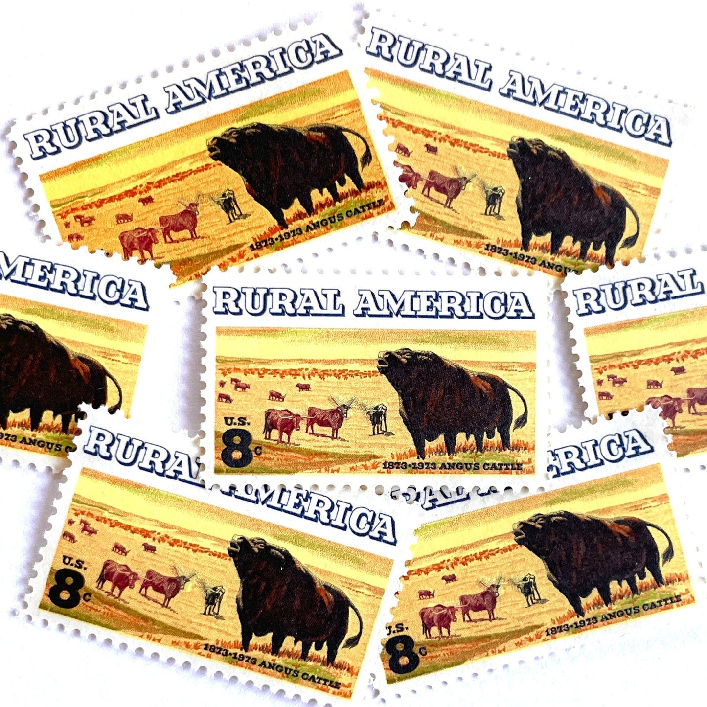 Image of 1973 Rural America Angus Cattle 8 cent stamps. Scott #1504. Stamp themes: Cattle, Livestock, Ranching, Farming, Range, Prairie, Rural America, Cowboy, Pasture Animals, Scottish Black Angus, Beef, Bull, Horns. Yellow postage stamp.