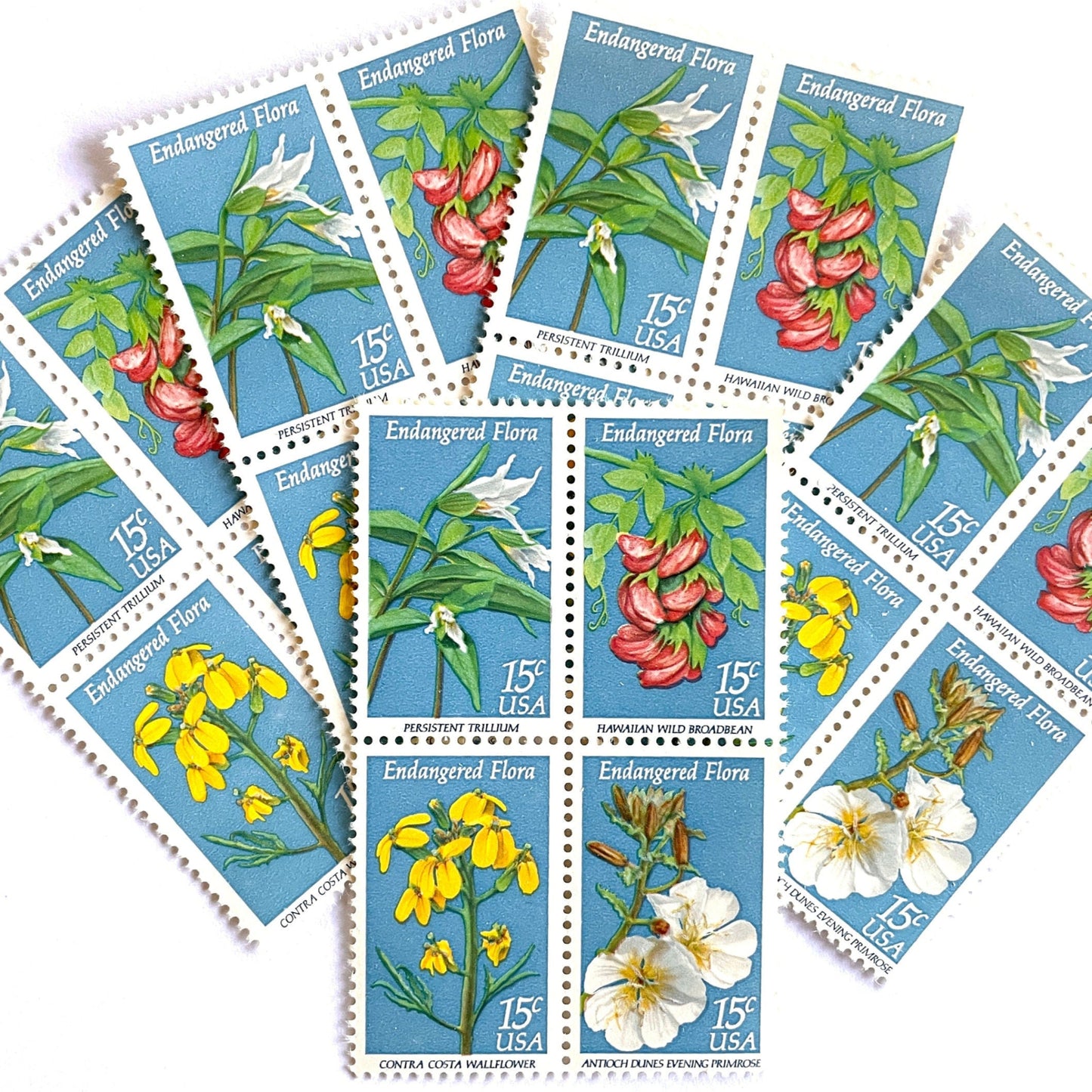 Image of four 15 cent Endangered Flora Se-Tenant 1993 Wildflower postage stamps. Scott #1783-86. Stamp themes: Endangered species, Endangered flora, Vulnerable, Extinct, Extinction, Environmental, Preservation, Ecology, Hawaiian Wild Broadbean or Hawaiian Vetch, Contra Costa Wallflower, Persistent Trillium, Antioch Dunes Evening Primrose. Blue postage stamp.