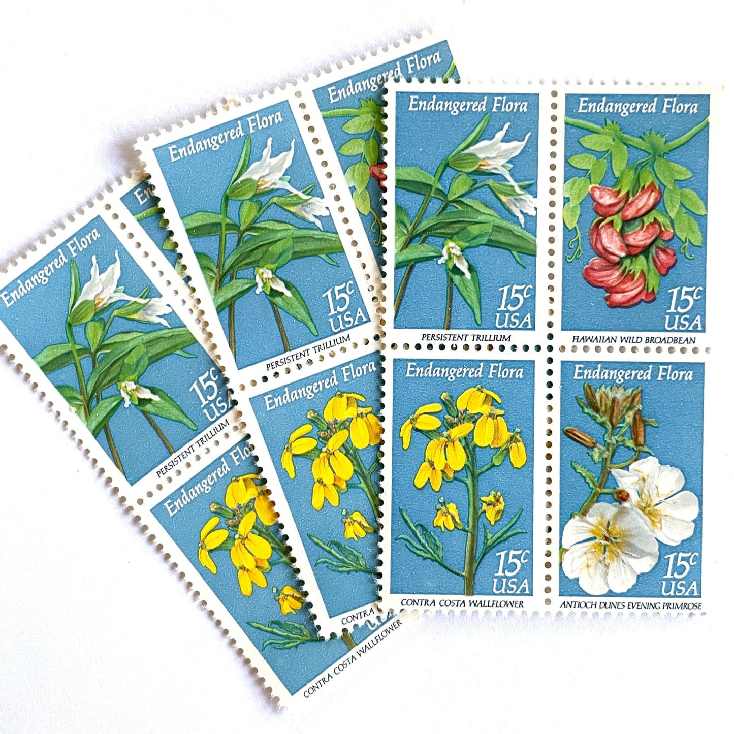 Image of four 15 cent Endangered Flora Se-Tenant 1993 Wildflower postage stamps. Scott #1783-86. Stamp themes: Endangered species, Endangered flora, Vulnerable, Extinct, Extinction, Environmental, Preservation, Ecology, Hawaiian Wild Broadbean or Hawaiian Vetch, Contra Costa Wallflower, Persistent Trillium, Antioch Dunes Evening Primrose. Blue postage stamp.