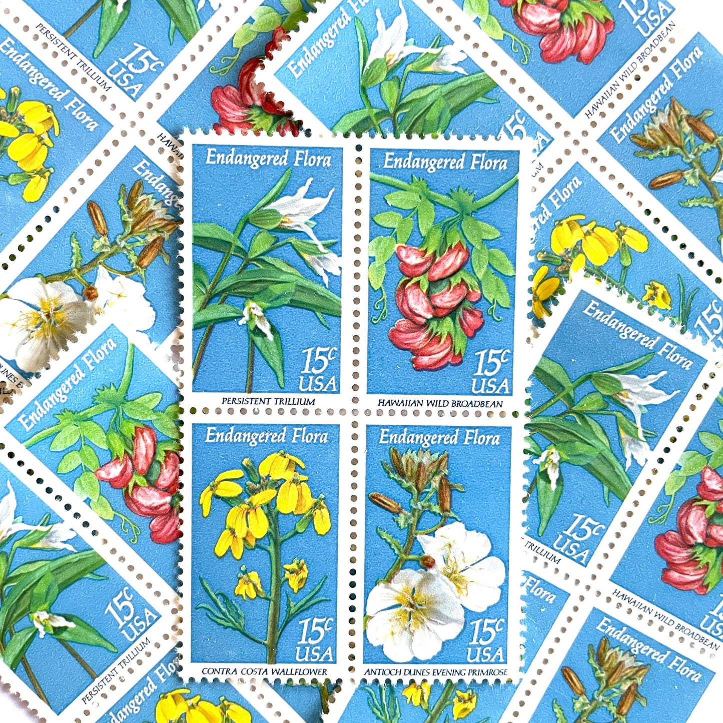 Image of four 15 cent Endangered Flora Se-Tenant 1993 Wildflower postage stamps. Scott #1783-86. Stamp themes: Endangered species, Endangered flora, Vulnerable, Extinct, Extinction, Environmental, Preservation, Ecology, Hawaiian Wild Broadbean or Hawaiian Vetch, Contra Costa Wallflower, Persistent Trillium, Antioch Dunes Evening Primrose. Blue postage stamp.