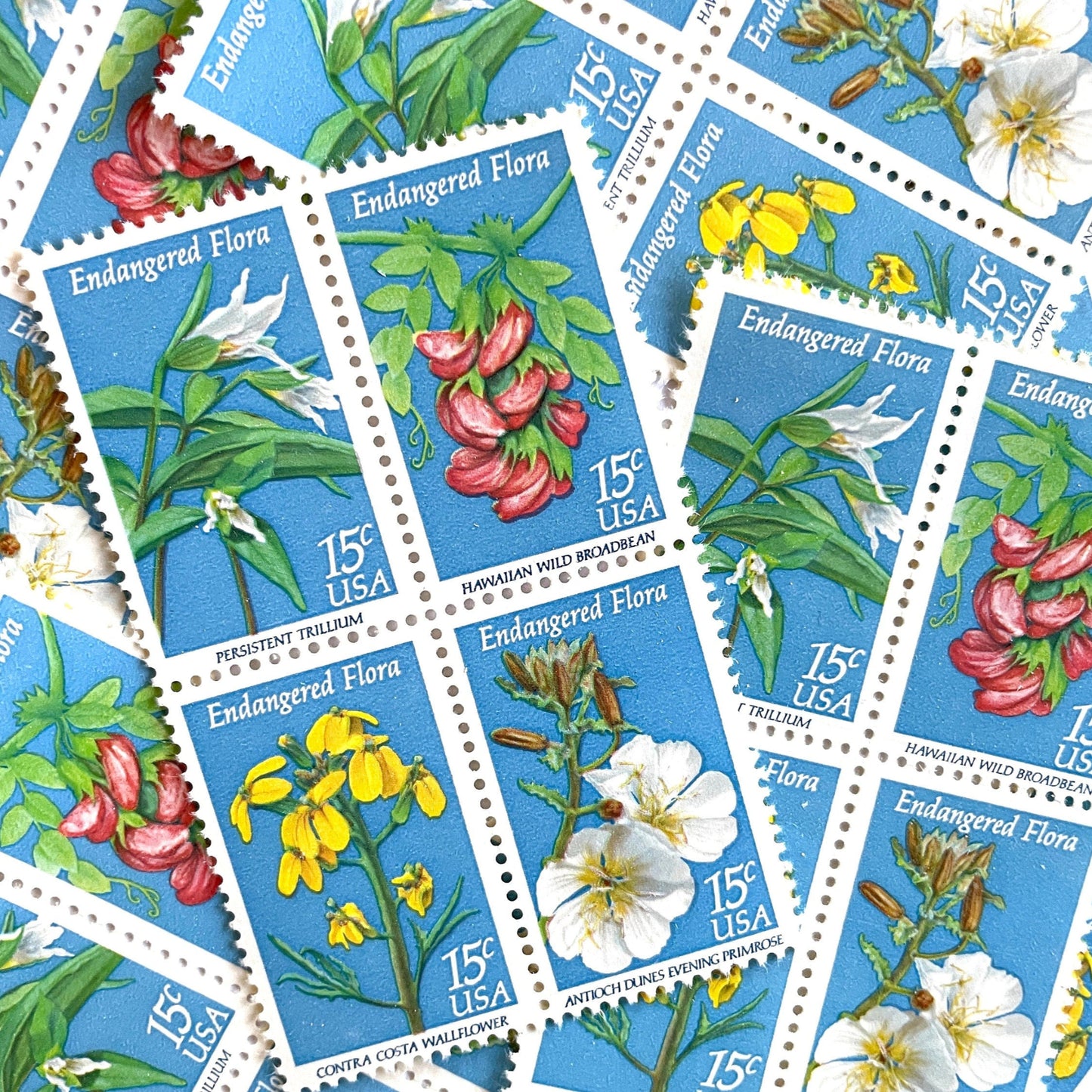 Image of four 15 cent Endangered Flora Se-Tenant 1993 Wildflower postage stamps. Scott #1783-86. Stamp themes: Endangered species, Endangered flora, Vulnerable, Extinct, Extinction, Environmental, Preservation, Ecology, Hawaiian Wild Broadbean or Hawaiian Vetch, Contra Costa Wallflower, Persistent Trillium, Antioch Dunes Evening Primrose. Blue postage stamp.