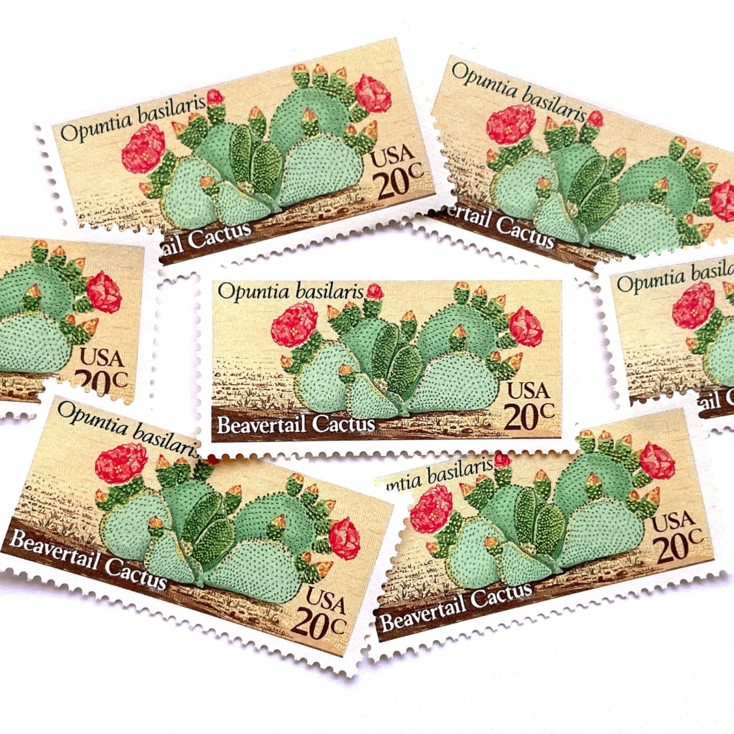 Image of four 20 cent Desert Plants Series 1981 Beavertail Cactus stamps. Scott #1944. Stamp themes: Cactus, Desert, Opuntia Basilaris, Southwest, Western, Texas, Mexican. Green and red postage stamp.