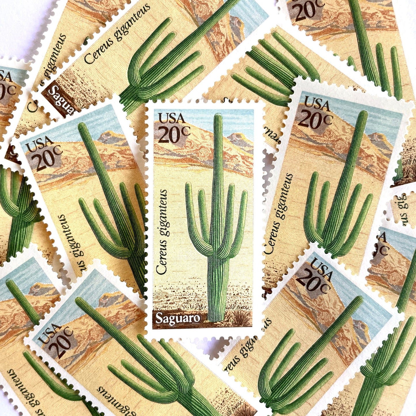 Image of Saguaro postage stamps from the 1981 Desert Plants series, featuring a green desert cactus with blue and brown Southwestern botanical artwork on vintage unused 20-cent USPS postage, Scott 1945.