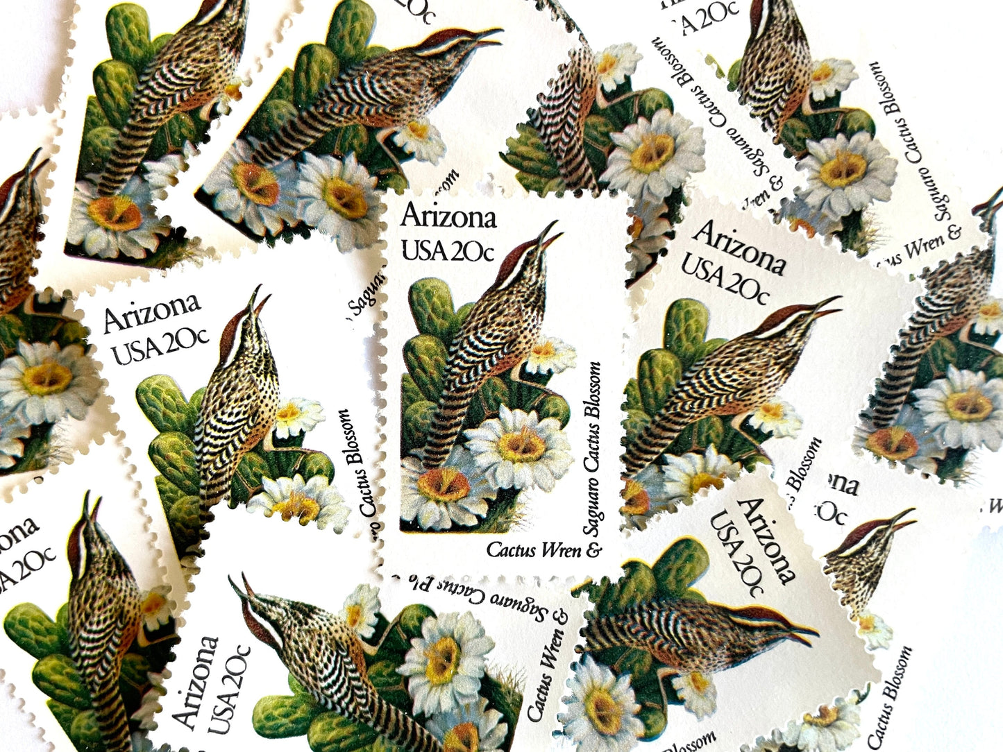 Image of Arizona State Bird and Flower postage stamps from 1982, featuring a Cactus Wren and Saguaro cactus blossom on vintage unused 20-cent USPS postage, Scott 1955.