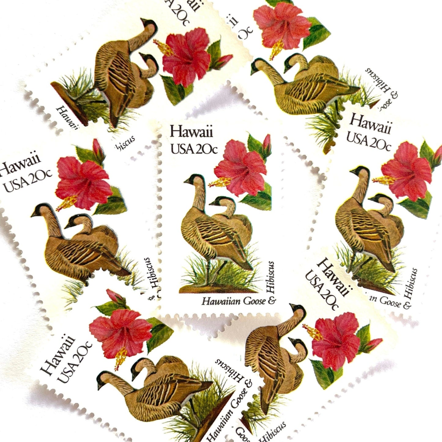 Image of 1982 State Birds & Flowers Hawaii 20 cent stamps. Scott #1963. Stamp themes: Nene, Hawaiian Goose, Hibiscus, Yellow Hibiscus, Hawaii State Bird, Hawaii State Flower, Aloha. White and red postage stamp.