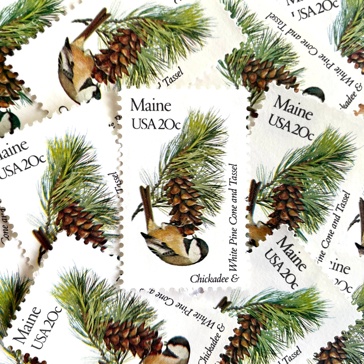 Image of Maine State Bird and Flower postage stamps from 1982, featuring a Chickadee and White Pine Cone on vintage unused 20-cent USPS postage, Scott 1971.