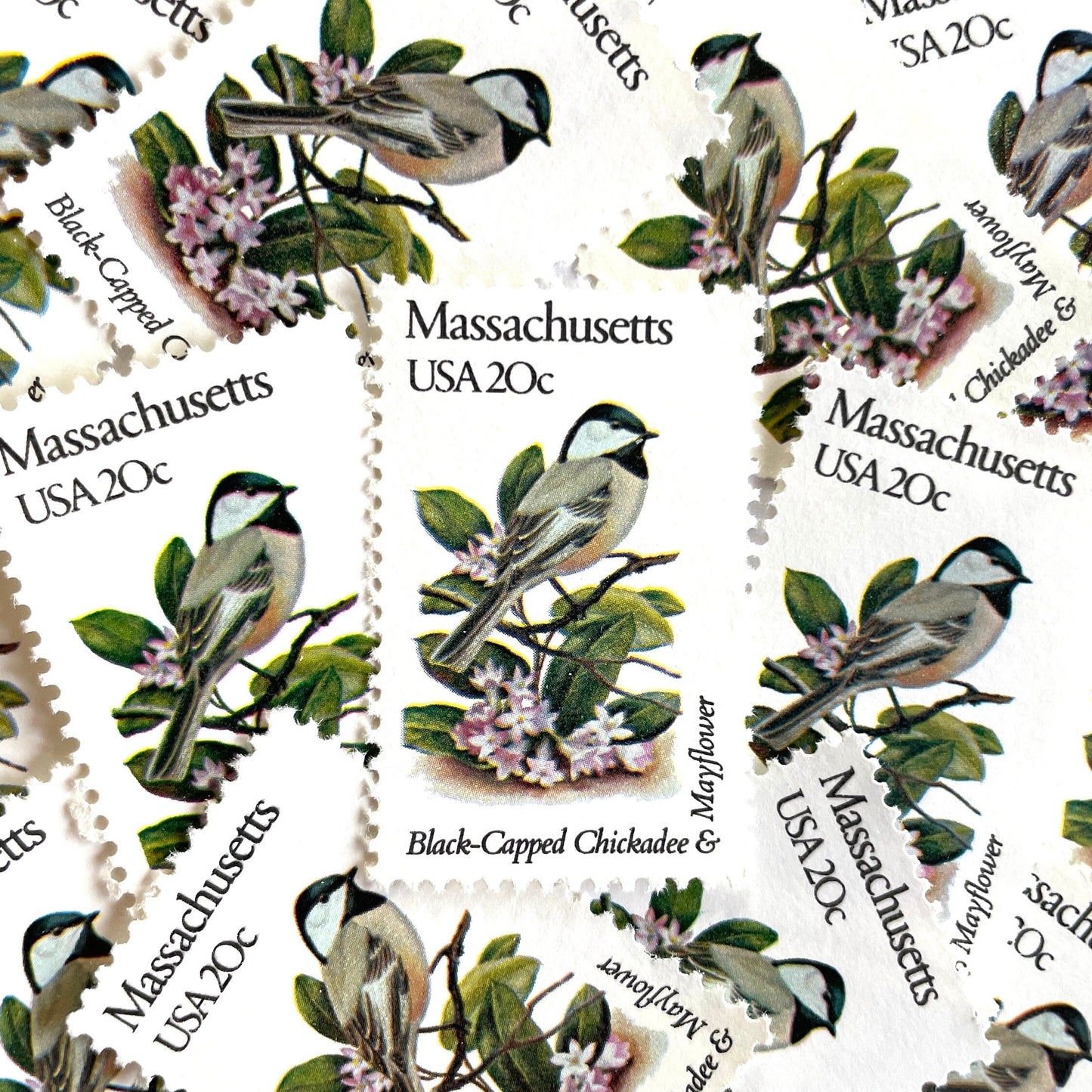 Image of Massachusetts State Bird and Flower postage stamps from 1982, featuring a Black-Capped Chickadee and Mayflower on vintage unused 20-cent USPS postage, Scott 1973.