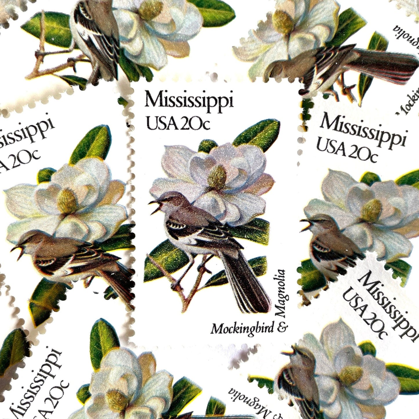 Image of 1982 State Birds & Flowers Mississippi (Mockingbird & Magnolia) 20 cent stamps. Scott #1976. Stamp themes: Birds, Aviary, Flowers, Flora, White Flower, Mississippi State Bird, Mississippi State Flower. White postage stamp.