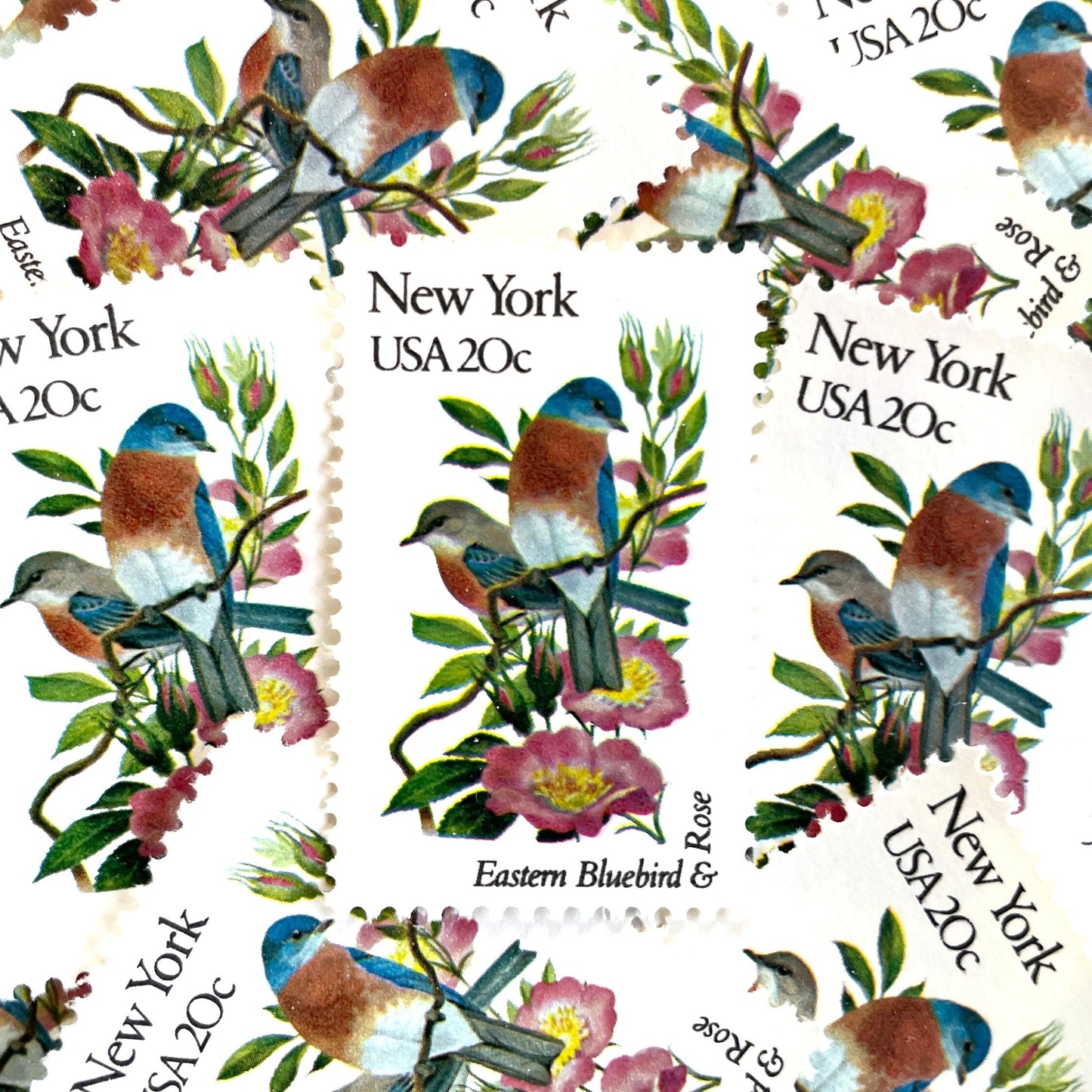 Image of New York State Bird and Flower postage stamps from 1982, featuring a Bluebird and Rose on vintage unused 20-cent USPS postage, Scott 1984.