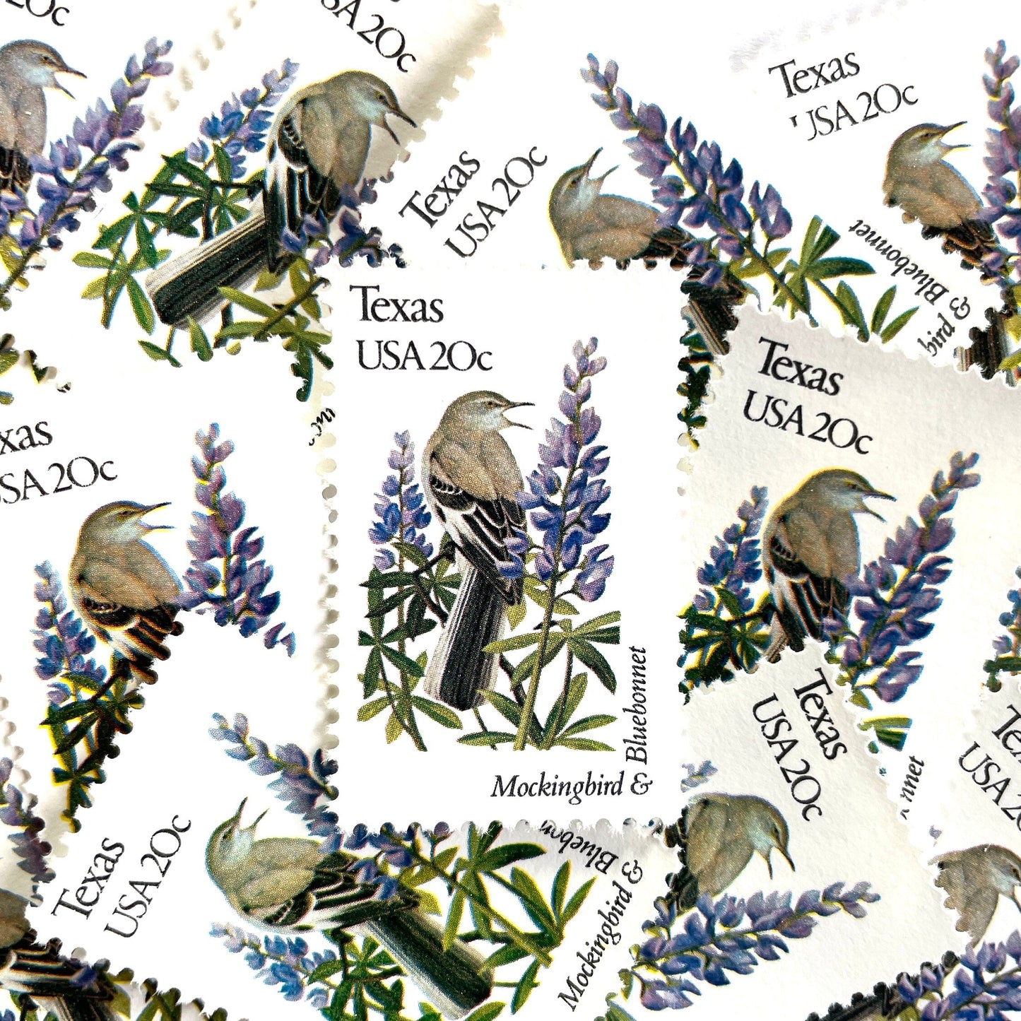 Texas State Bird and Flower postage stamps from 1982 featuring a Mockingbird and Bluebonnet on vintage unused 20-cent USPS postage, Scott 1995.