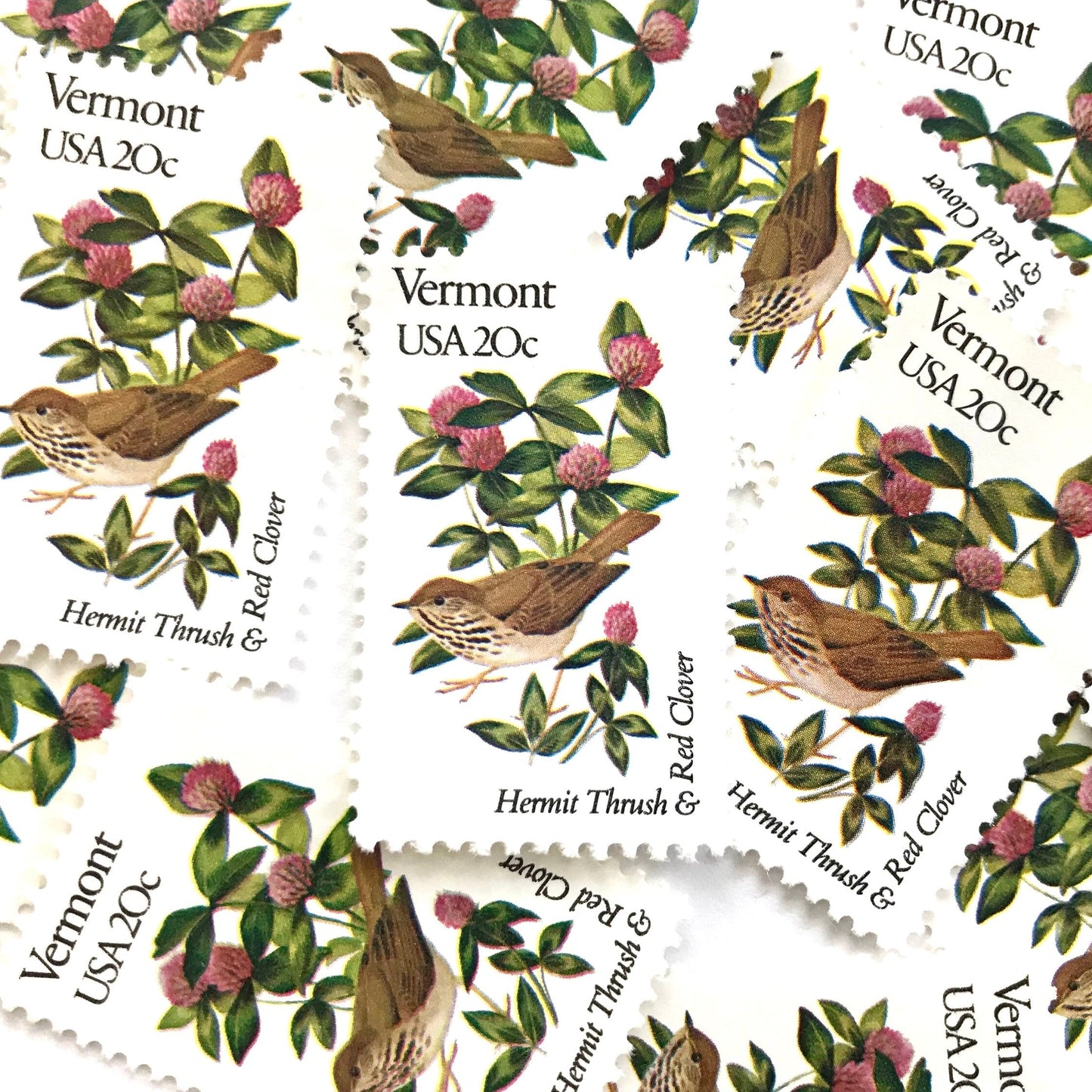 Vermont State Bird and Flower postage stamps from 1982 featuring a Hermit Thrush and Red Clover on vintage unused 20-cent USPS postage, Scott 1997.