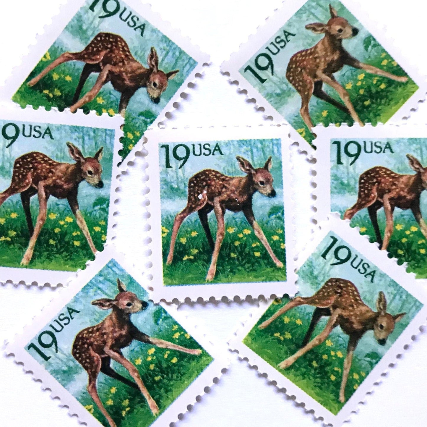 Image of four 19 cent Flora & Fauna Series 1991 Fawn stamps. Scott #2479. Stamp themes: Young Deer, Doe, Calf, Baby, Youth, Spring, Bambi, Birth. Green and blue postage stamp.