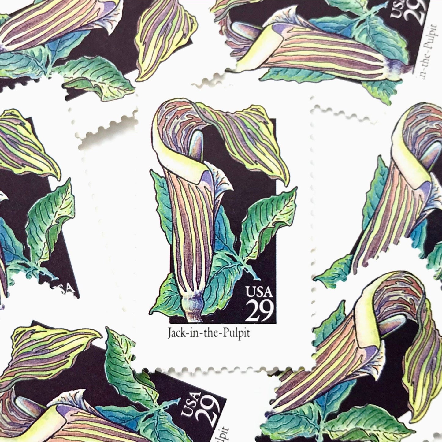 Image of 29-cent USPS postage stamps featuring a green/multicolored Jack-In-The-Pulpit flower from the 1992 American Wildflower Series