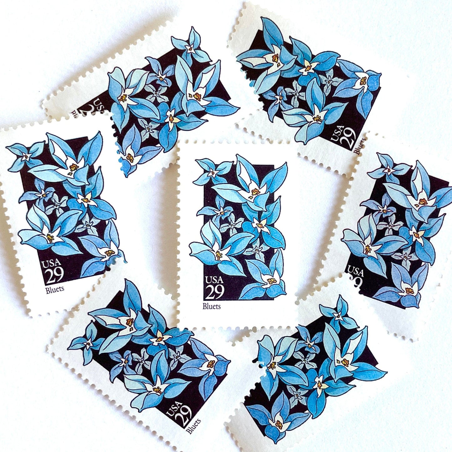 Image of 29-cent USPS postage stamps featuring a light blue Bluets flower from the 1992 American Wildflower Series (Scott #2656)