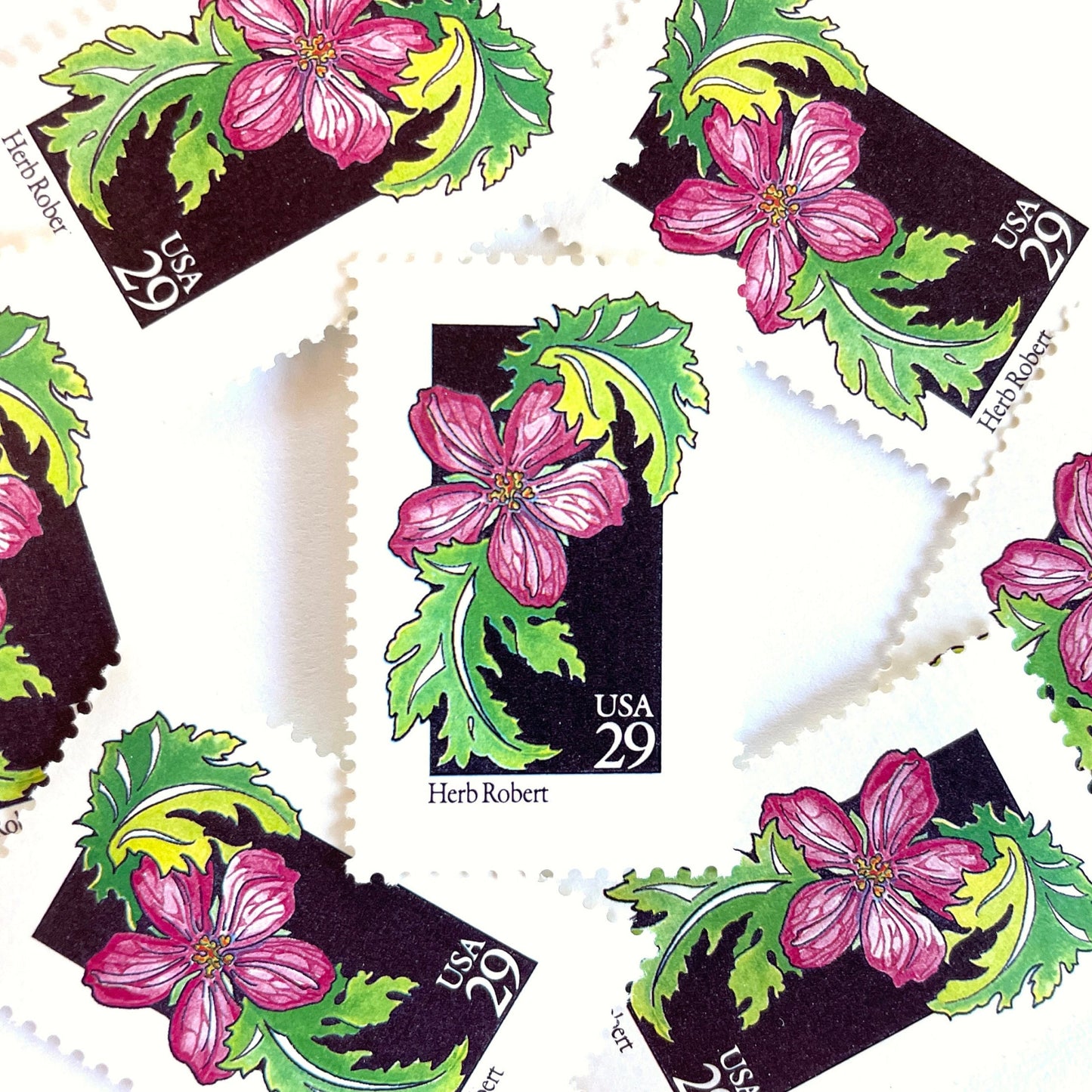 Image of 29-cent USPS postage stamp featuring a pink Herb Robert flower from the 1992 American Wildflower Series (Scott #2657)