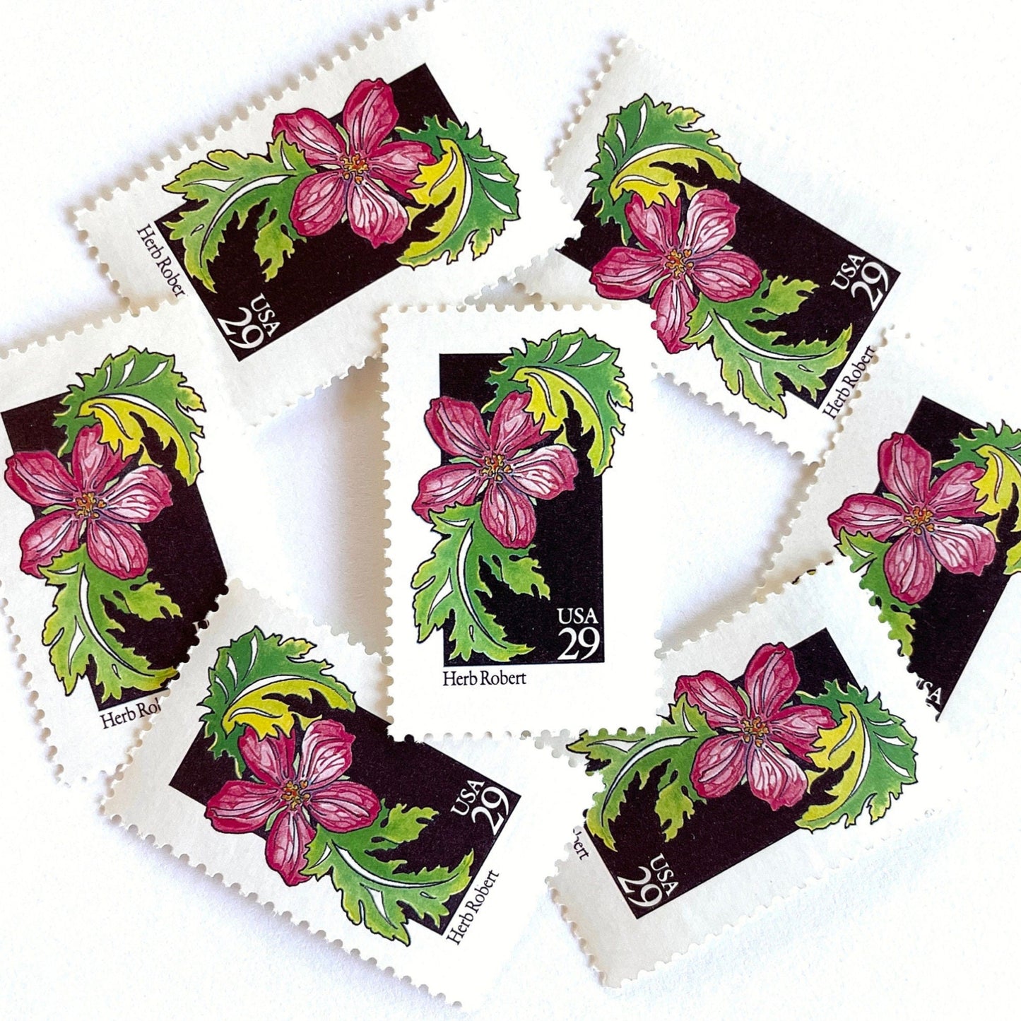 Image of 29-cent USPS postage stamps featuring a pink Herb Robert flower from the 1992 American Wildflower Series (Scott #2657)