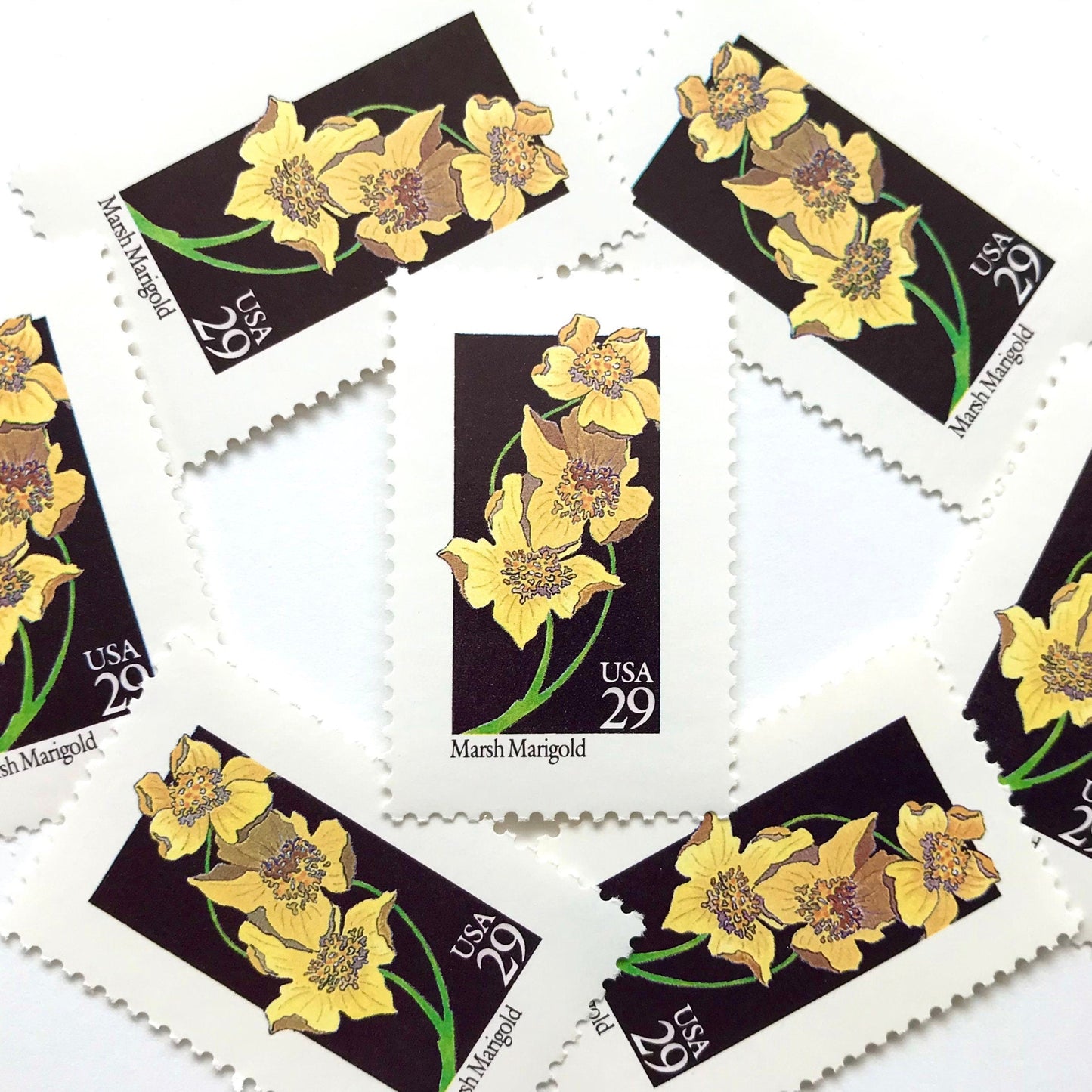 Image of 29-cent USPS postage stamps featuring a yellow Marsh Marigold flower from the 1992 American Wildflower Series (Scott #2658)