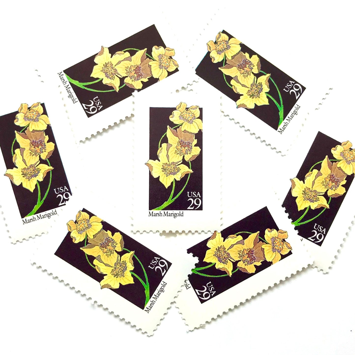 Image of 29-cent USPS postage stamps featuring a yellow Marsh Marigold flower from the 1992 American Wildflower Series (Scott #2658)