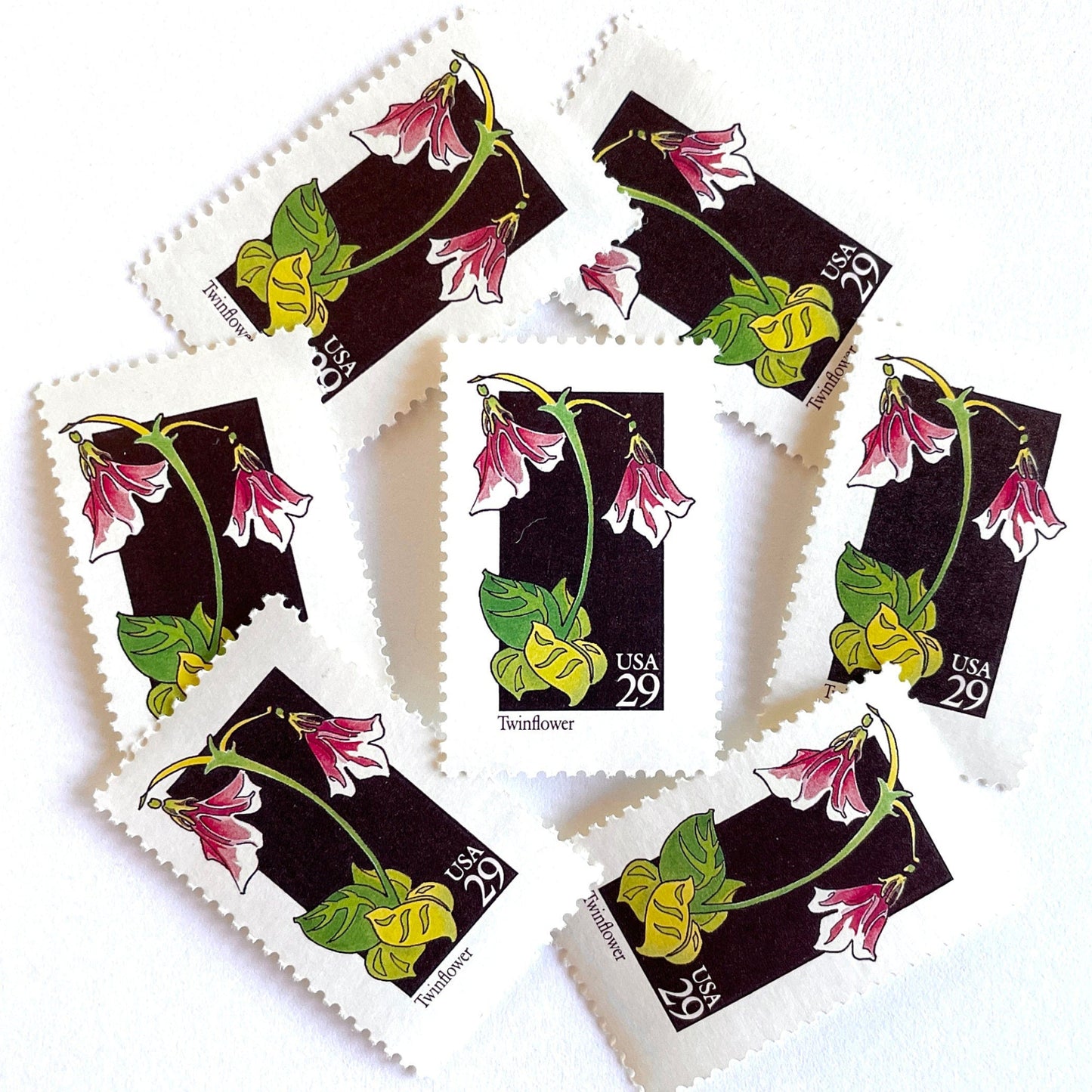 Image of 1992 American Wildflower Series “Twinflower” vintage USPS mail stamps. Scott #2665. Stamp Themes: Plants, Flowers, Wildflowers, Flora. Pink, White, Green, Multicolored gummed postage stamp. Perfect postage stamp to use for save the date announcements, wedding invitation postage, bridal shower invitations, birth announcements, valentine’s day, thank you cards, and snail mail.
