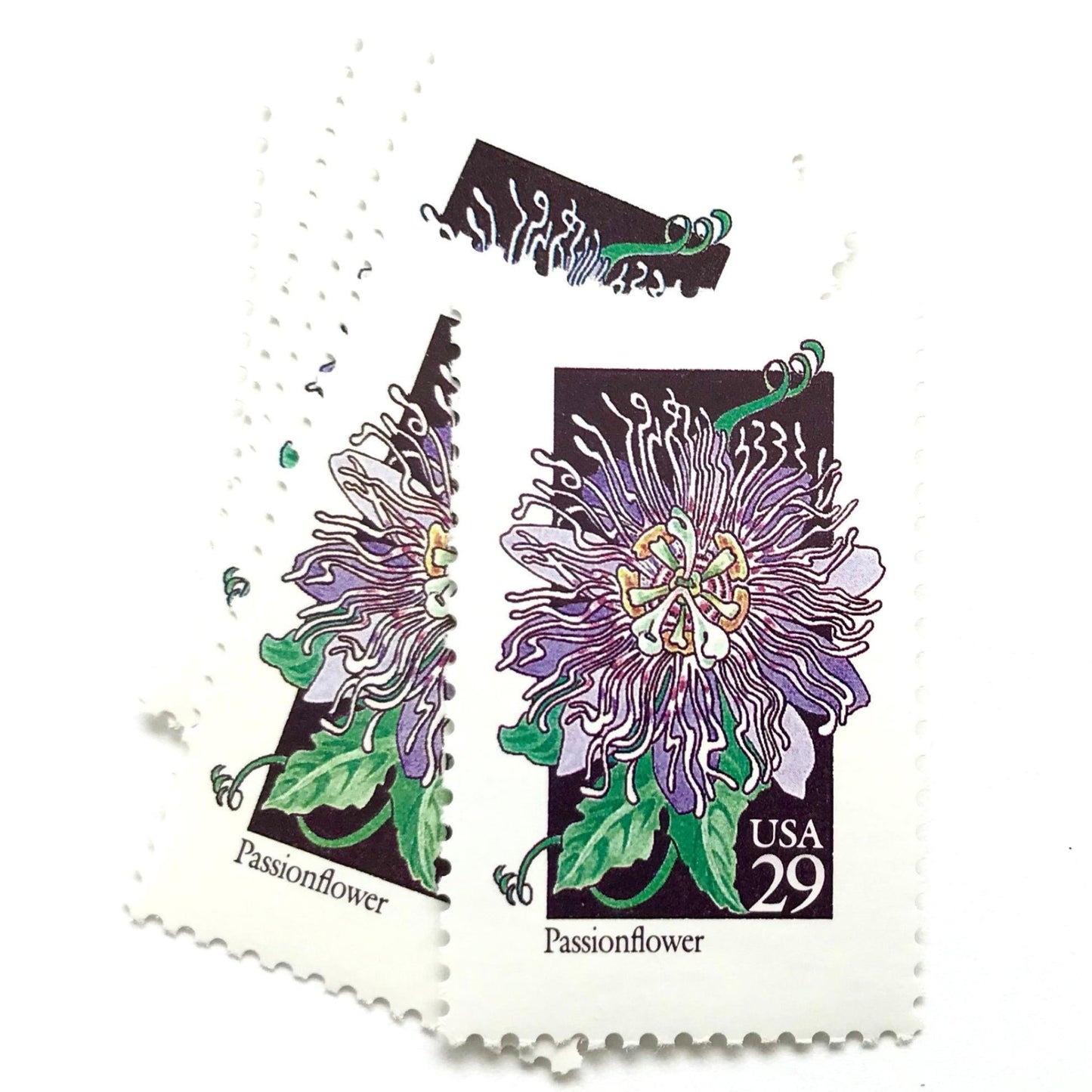 Image of 1992 American Wildflower Series “Passionflower” vintage USPS mail stamps. Scott #2674. Stamp Themes: Plants, Flowers, Wildflowers, Flora. Purple, Green, Black, Multicolored gummed postage stamp. Perfect postage stamp to use for save the date announcements, wedding invitation postage, bridal shower invitations, birth announcements, valentine’s day, thank you cards, and snail mail.