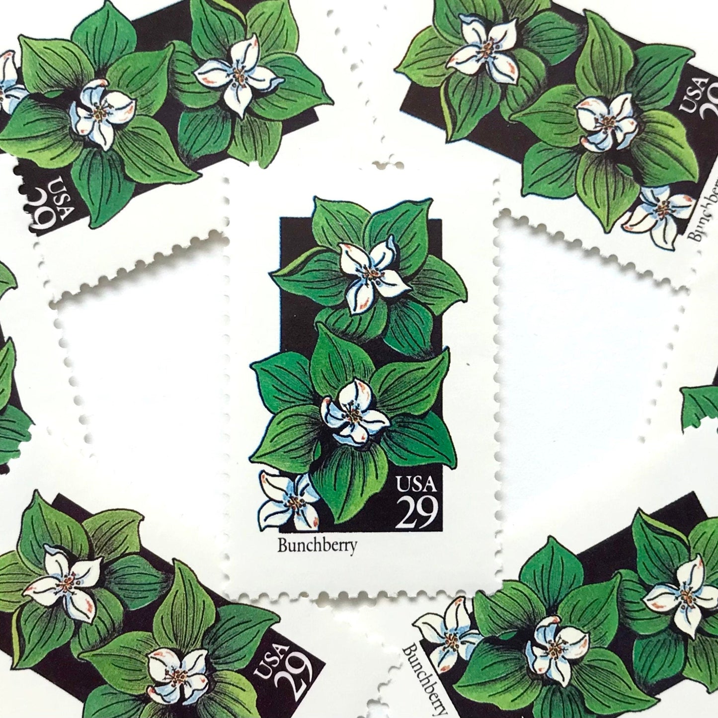 Image of 1992 American Wildflower Series “Bunchberry” vintage USPS mail stamps. Scott #2675. Stamp Themes: Plants, Flowers, Wildflowers, Flora. White, Green, Black, Multicolored gummed postage stamp. Perfect postage stamp to use for save the date announcements, wedding invitation postage, bridal shower invitations, birth announcements, valentine’s day, thank you cards, and snail mail.