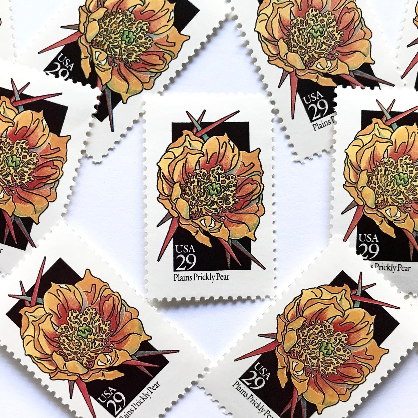 Image of 1992 American Wildflower Series “Plains Prickly Pear” vintage USPS mail stamps. Scott #2685. Stamp Themes: Plants, Flowers, Wildflowers, Flora. Yellow, Red, Black, Multicolored gummed postage stamp. Perfect postage stamp to use for save the date announcements, wedding invitation postage, bridal shower invitations, birth announcements, valentine’s day, thank you cards, and snail mail.