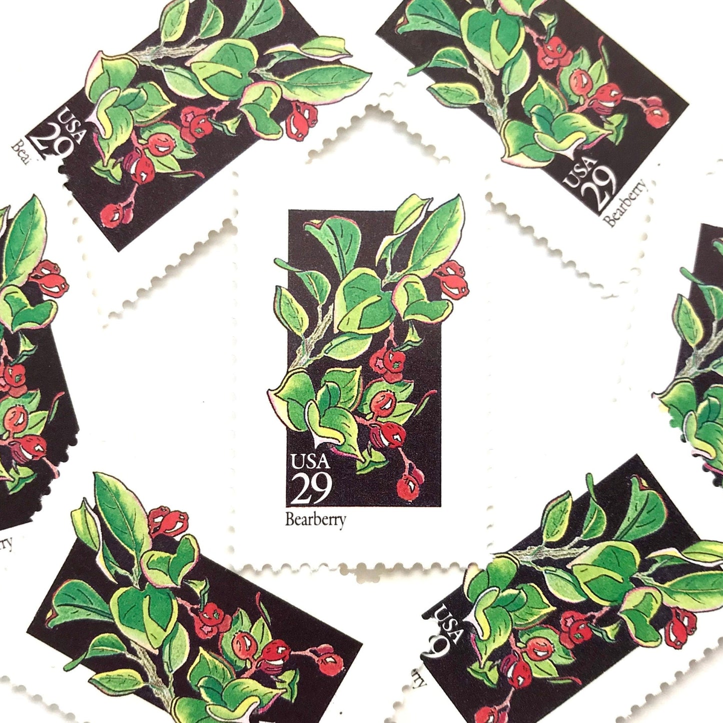Image of 1992 American Wildflower series “Bearberry” 29-cent vintage USPS mail stamps. Scott #2687. Stamp Themes: Plants, Flowers, Wildflowers, Flora. Green, Red, Multicolored gummed postage stamp. Perfect postage stamp to use for save the date announcements, wedding invitation postage, bridal shower invitations, birth announcements, valentine’s day, thank you cards, and snail mail.