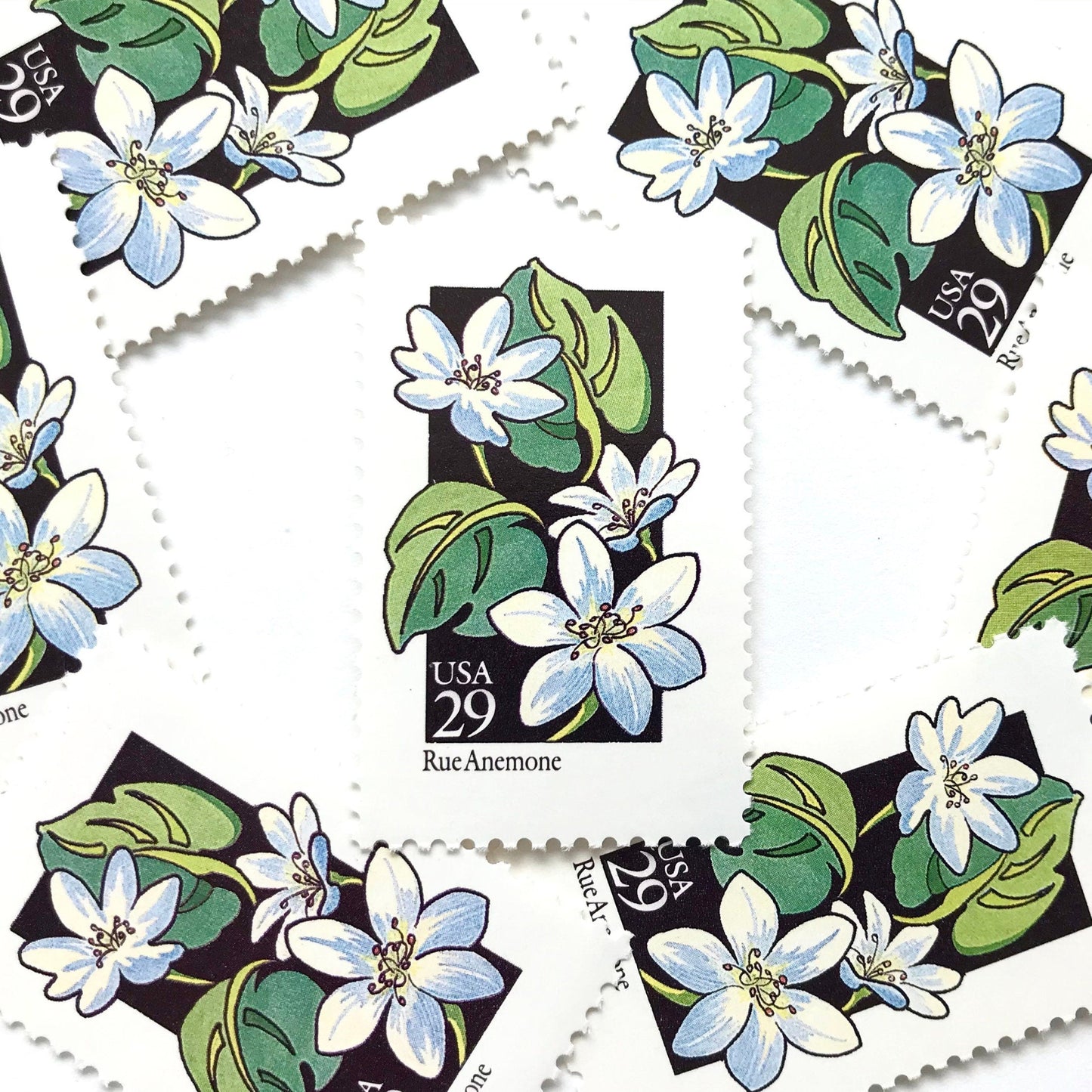 Image of 1992 American Wildflower Series “Rue Anemone” vintage USPS mail stamps. Scott #2694. Stamp Themes: Plants, Flowers, Wildflowers, Flora. White, Blue, Green, Multicolored gummed postage stamp. Perfect postage stamp to use for save the date announcements, wedding invitation postage, bridal shower invitations, birth announcements, valentine’s day, thank you cards, and snail mail.