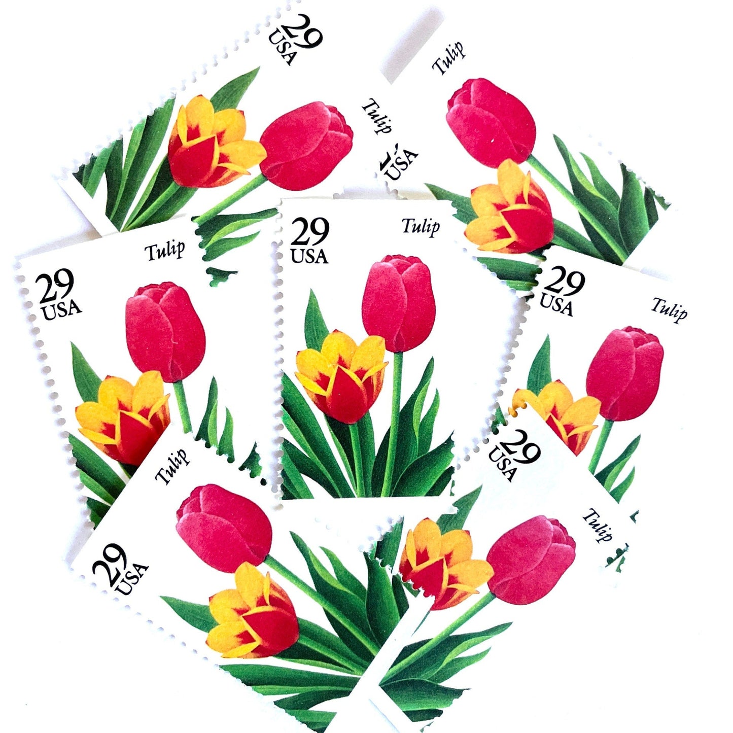 Image of Tulip postage stamps from the 1993 Spring Garden Flowers series, featuring red and yellow tulip blooms with green foliage on vintage unused 29-cent USPS postage, Scott 2762.