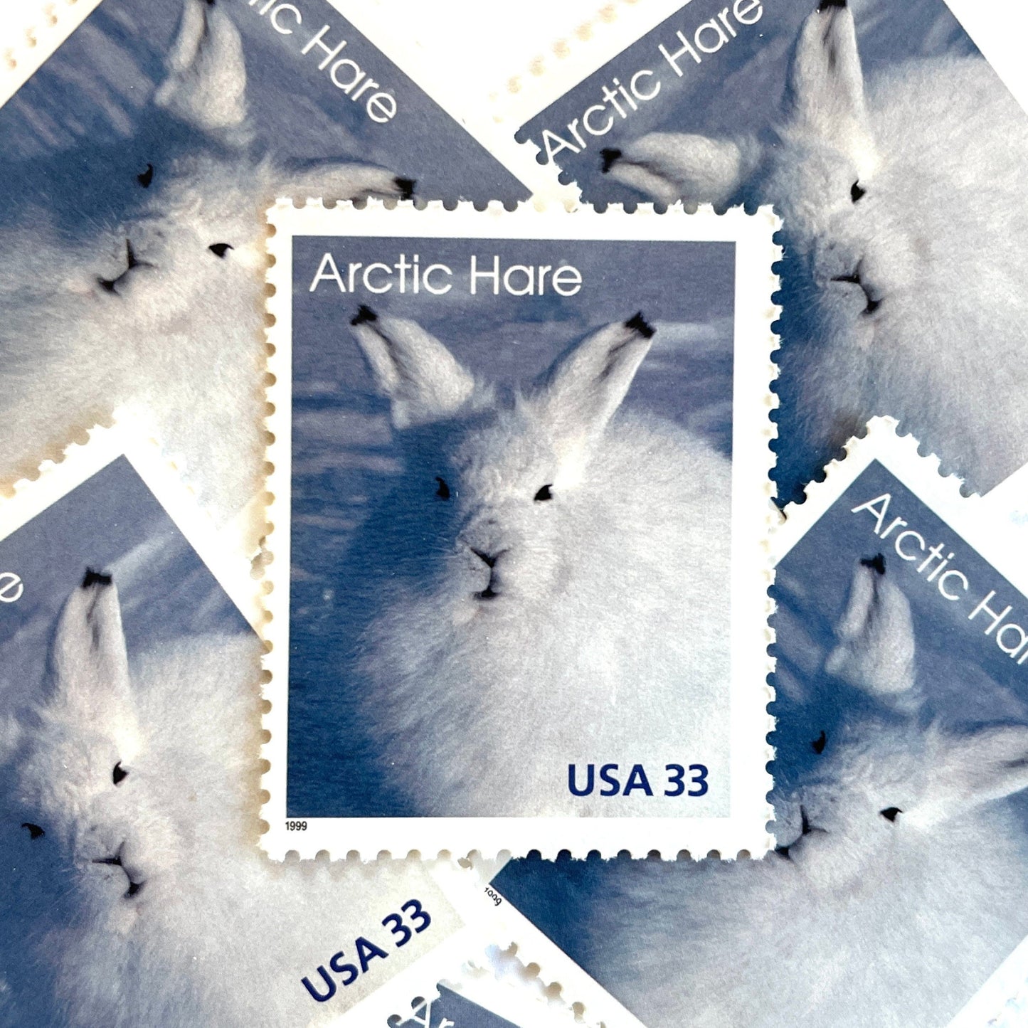 Image of 1999 Arctic Animals “Arctic Hare” 33-cent stamps. Scott #3288. Stamp Themes: Bunny, Rabbit, Snow, Winter, Cold, Wildlife, Alaska. Blue and white postage stamp.