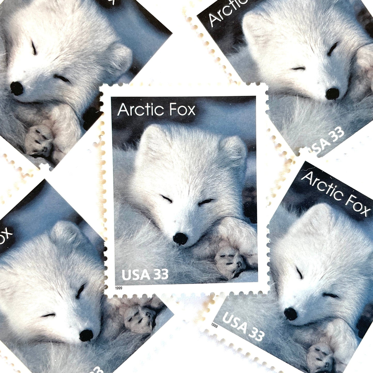 Image of 33-cent Arctic Animals 1993 Arctic Fox USPS postage stamp featuring the face of a young white fox in the snow. Scott #3289. Stamp themes: Animals, Arctic, Winter, Cold Weather, White Fur, Baby Fox, Cute Fox. White postage stamp.
