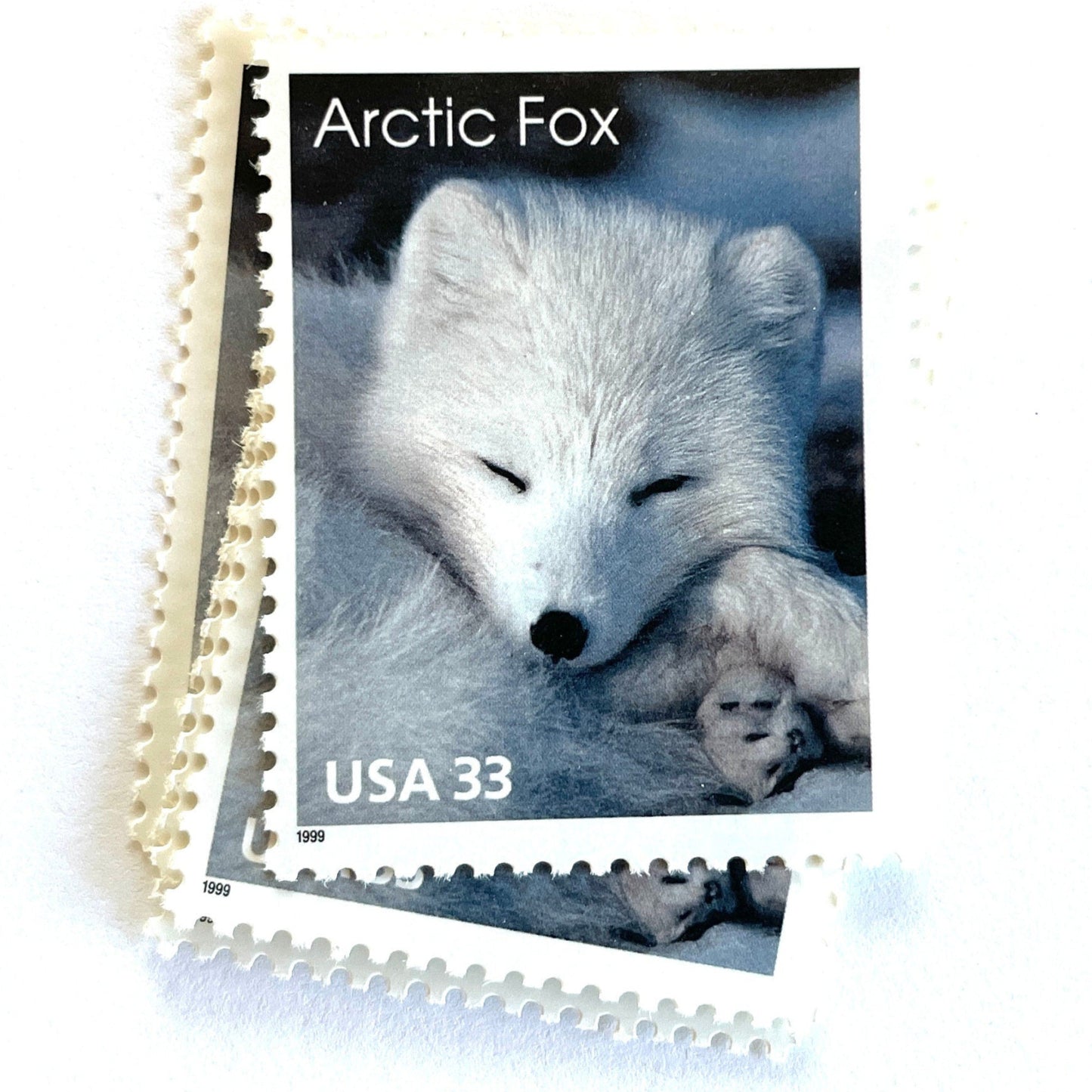 Image of 33-cent Arctic Animals 1993 Arctic Fox USPS postage stamp featuring the face of a young white fox in the snow. Scott #3289. Stamp themes: Animals, Arctic, Winter, Cold Weather, White Fur, Baby Fox, Cute Fox. White postage stamp.