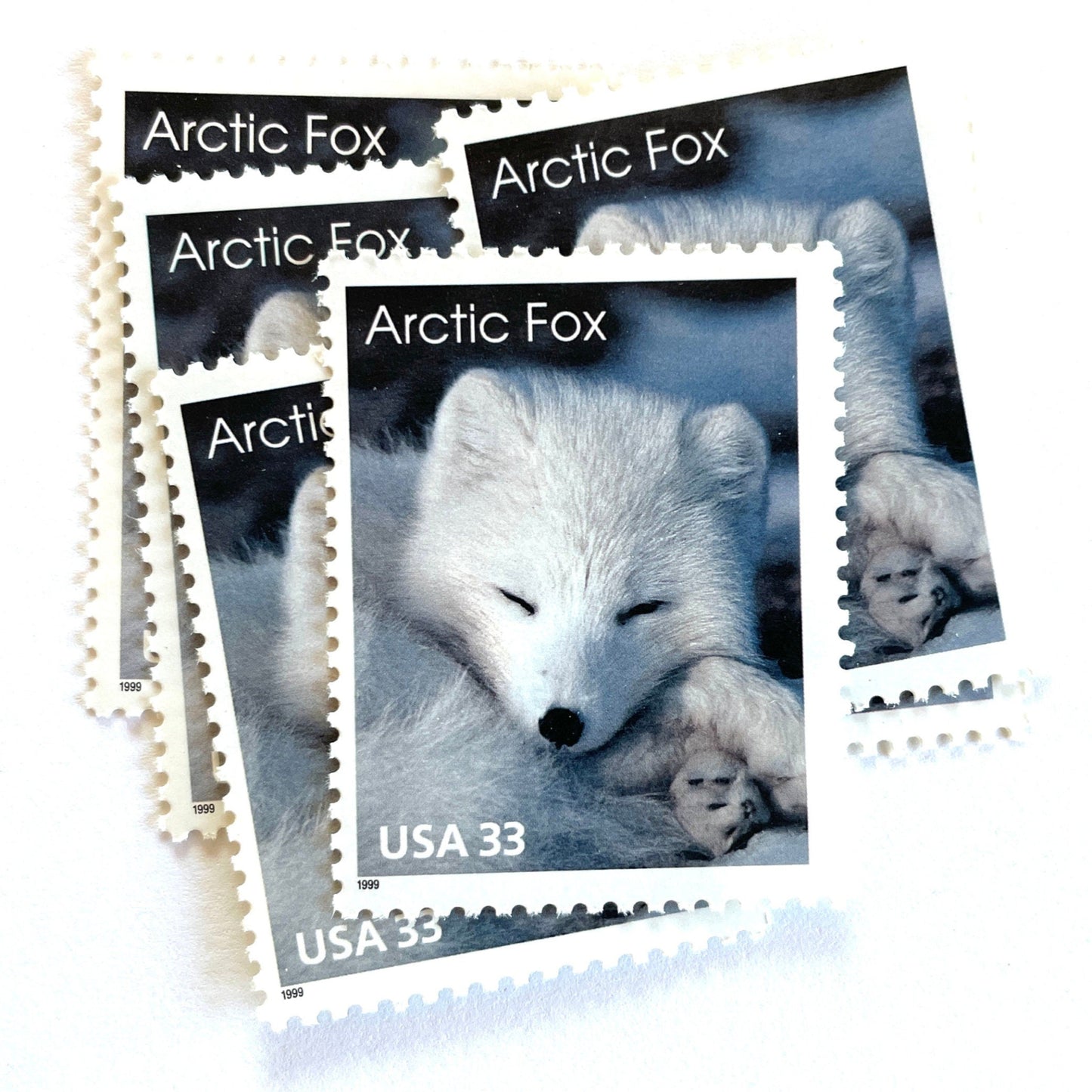 Image of 33-cent Arctic Animals 1993 Arctic Fox USPS postage stamp featuring the face of a young white fox in the snow. Scott #3289. Stamp themes: Animals, Arctic, Winter, Cold Weather, White Fur, Baby Fox, Cute Fox. White postage stamp.