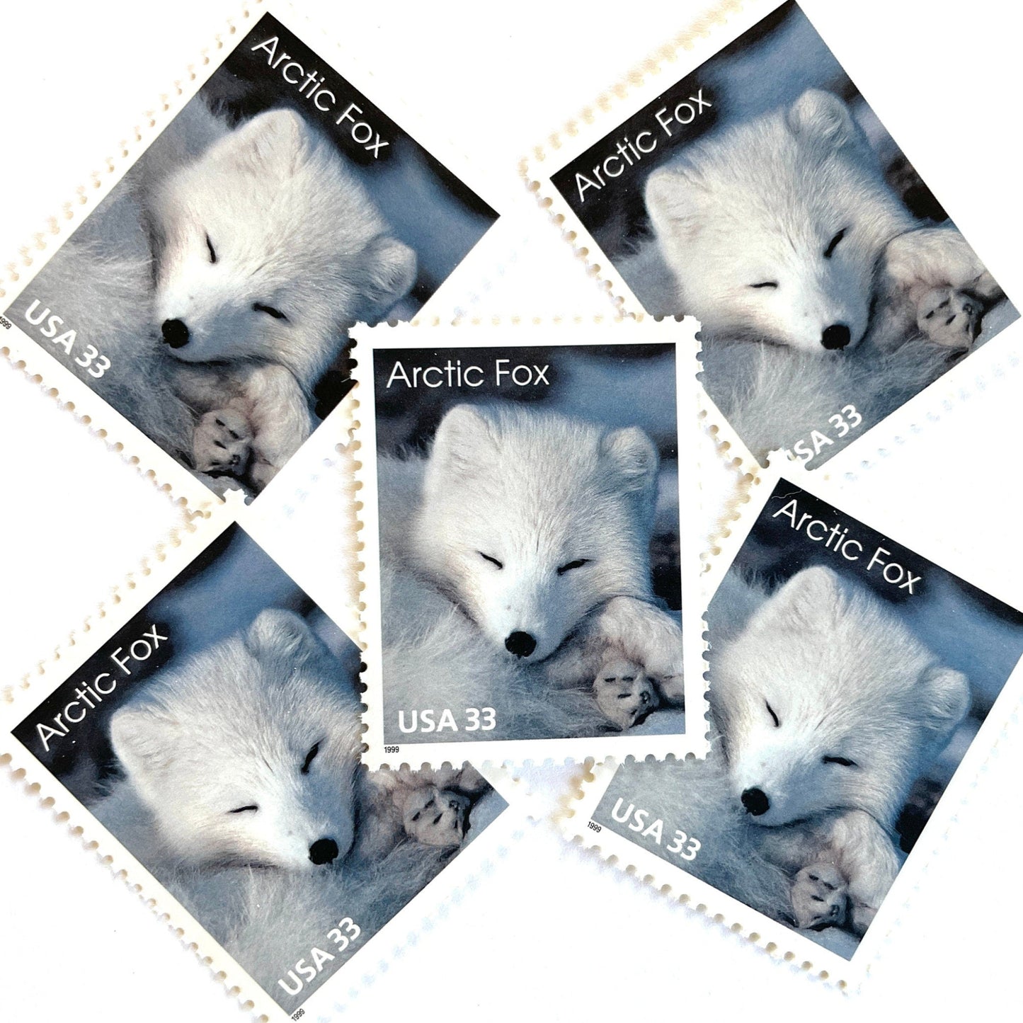 Image of 33-cent Arctic Animals 1993 Arctic Fox USPS postage stamp featuring the face of a young white fox in the snow. Scott #3289. Stamp themes: Animals, Arctic, Winter, Cold Weather, White Fur, Baby Fox, Cute Fox. White postage stamp.