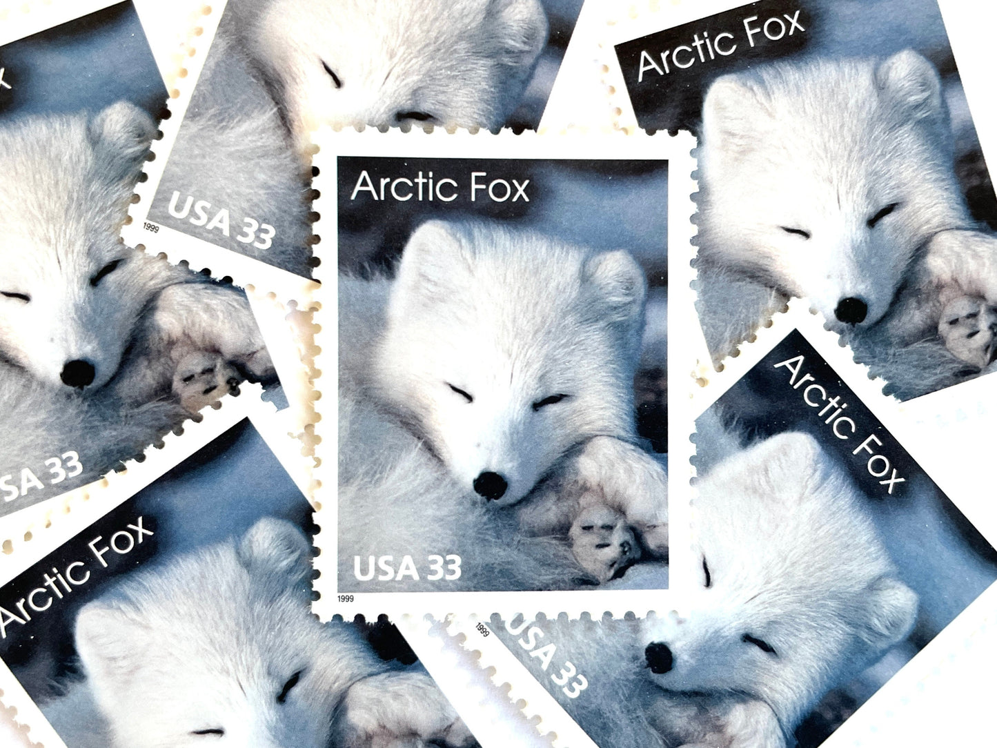 Image of 33-cent Arctic Animals 1993 Arctic Fox USPS postage stamp featuring the face of a young white fox in the snow. Scott #3289. Stamp themes: Animals, Arctic, Winter, Cold Weather, White Fur, Baby Fox, Cute Fox. White postage stamp.