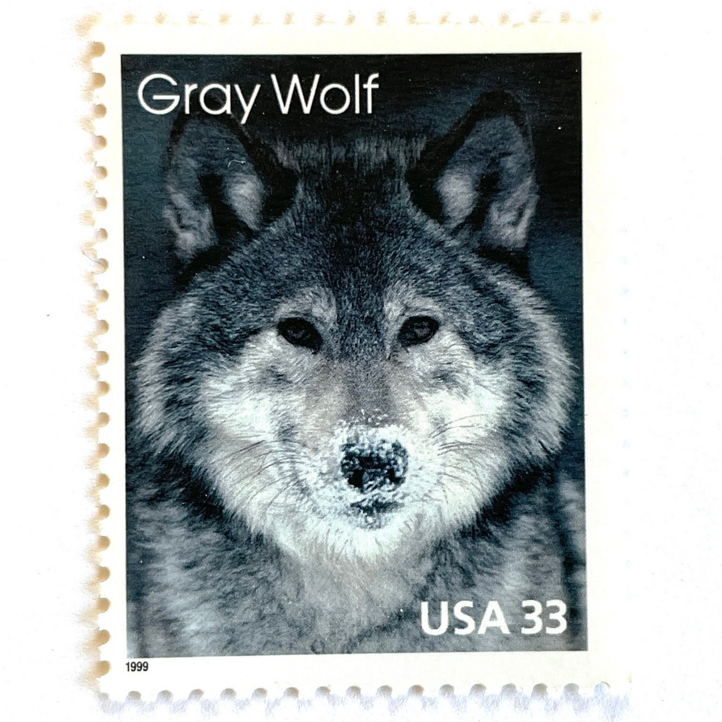 Image of four 33 cent Arctic Animals Series 1999 Gray Wolf stamps. Scott #3292. Stamp themes: Lone Wolf, Winter, Cold, Territorial, Predator, Dog, K9, Fur, Howl, Ecology, Wild, Alaska. Gray or grey postage stamp.
