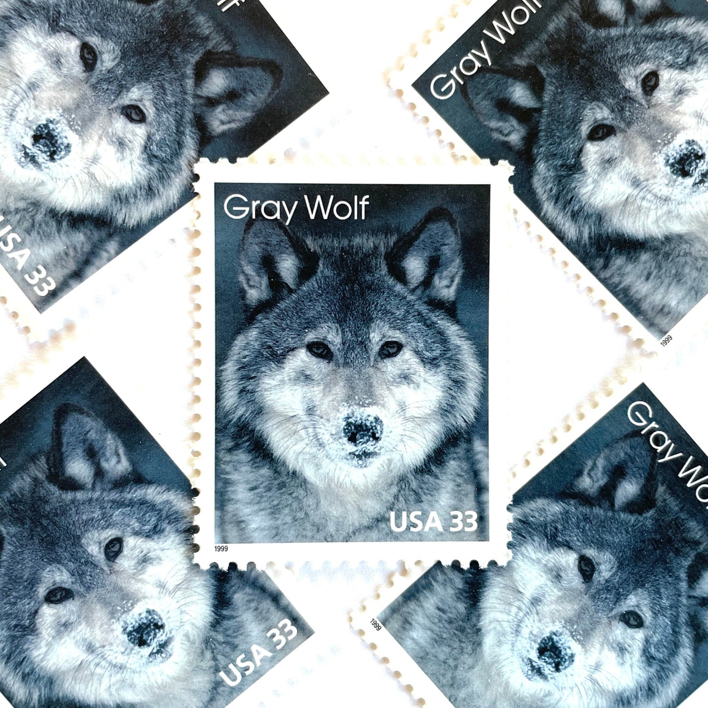 Image of four 33 cent Arctic Animals Series 1999 Gray Wolf stamps. Scott #3292. Stamp themes: Lone Wolf, Winter, Cold, Territorial, Predator, Dog, K9, Fur, Howl, Ecology, Wild, Alaska. Gray or grey postage stamp.