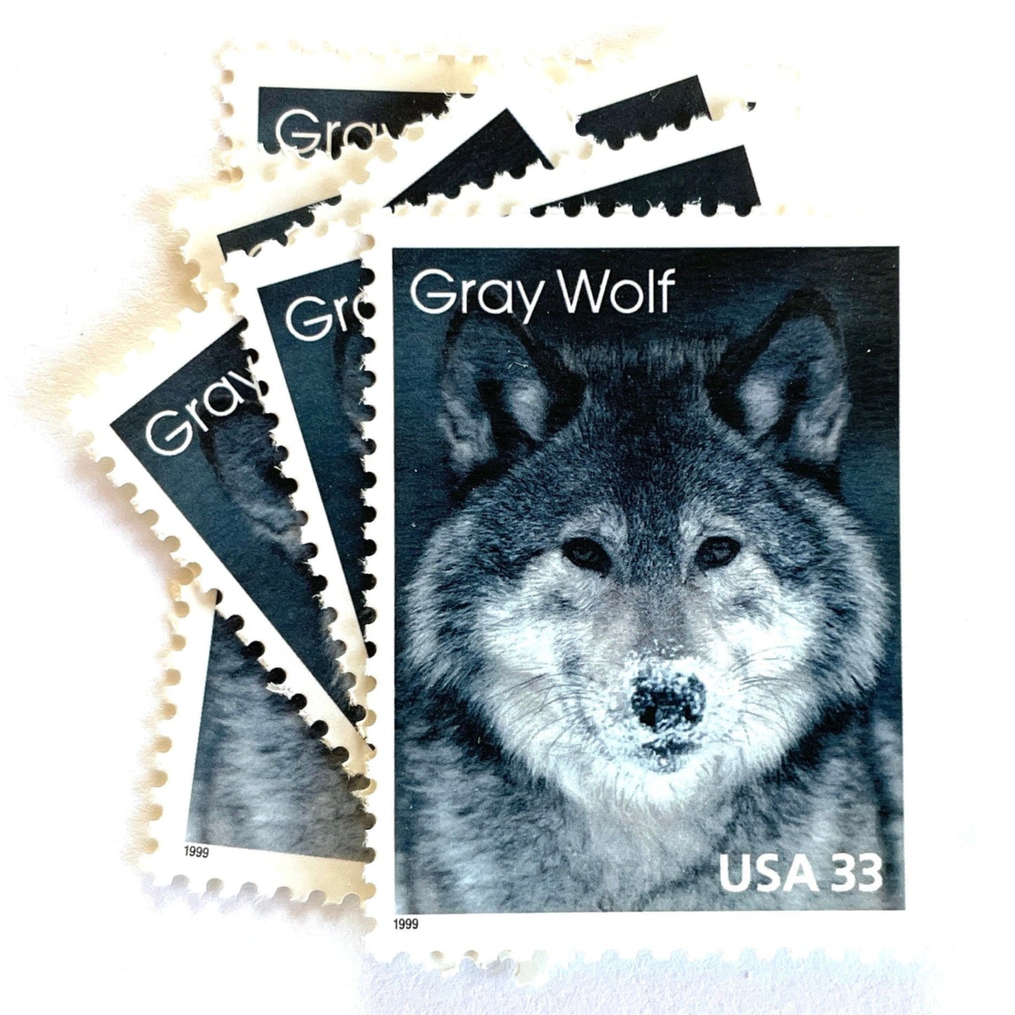 Image of four 33 cent Arctic Animals Series 1999 Gray Wolf stamps. Scott #3292. Stamp themes: Lone Wolf, Winter, Cold, Territorial, Predator, Dog, K9, Fur, Howl, Ecology, Wild, Alaska. Gray or grey postage stamp.