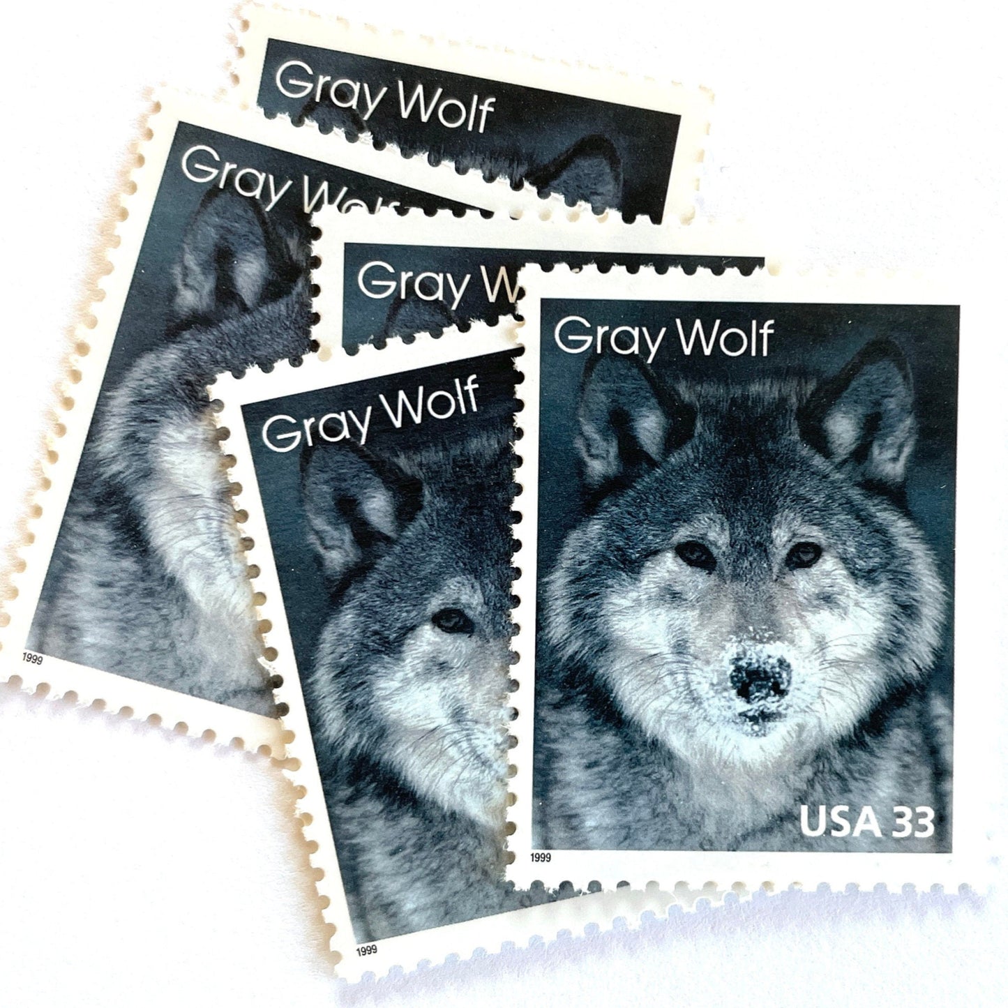 Image of four 33 cent Arctic Animals Series 1999 Gray Wolf stamps. Scott #3292. Stamp themes: Lone Wolf, Winter, Cold, Territorial, Predator, Dog, K9, Fur, Howl, Ecology, Wild, Alaska. Gray or grey postage stamp.