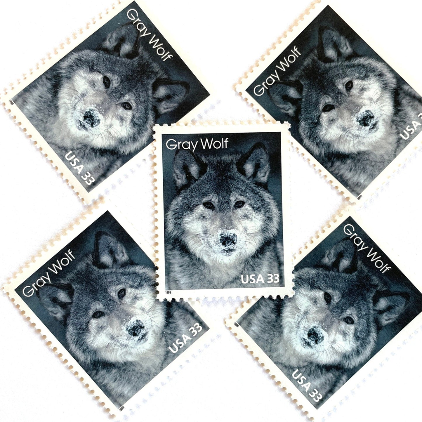 Image of four 33 cent Arctic Animals Series 1999 Gray Wolf stamps. Scott #3292. Stamp themes: Lone Wolf, Winter, Cold, Territorial, Predator, Dog, K9, Fur, Howl, Ecology, Wild, Alaska. Gray or grey postage stamp.