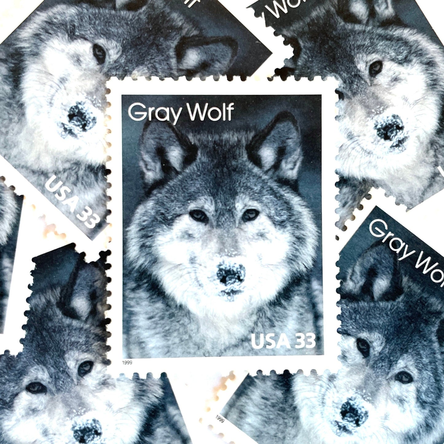 Image of four 33 cent Arctic Animals Series 1999 Gray Wolf stamps. Scott #3292. Stamp themes: Lone Wolf, Winter, Cold, Territorial, Predator, Dog, K9, Fur, Howl, Ecology, Wild, Alaska. Gray or grey postage stamp.