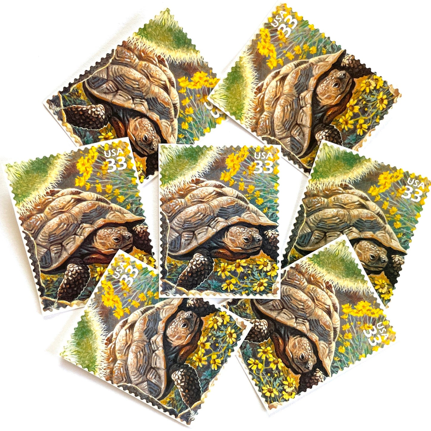 Image of Desert Tortoise postage stamps from the 1999 Nature of America Sonoran Desert issue, featuring a brown desert tortoise set in yellow flowers and cactus in a Southwestern landscape on vintage unused 33-cent USPS postage, Scott 3293b.