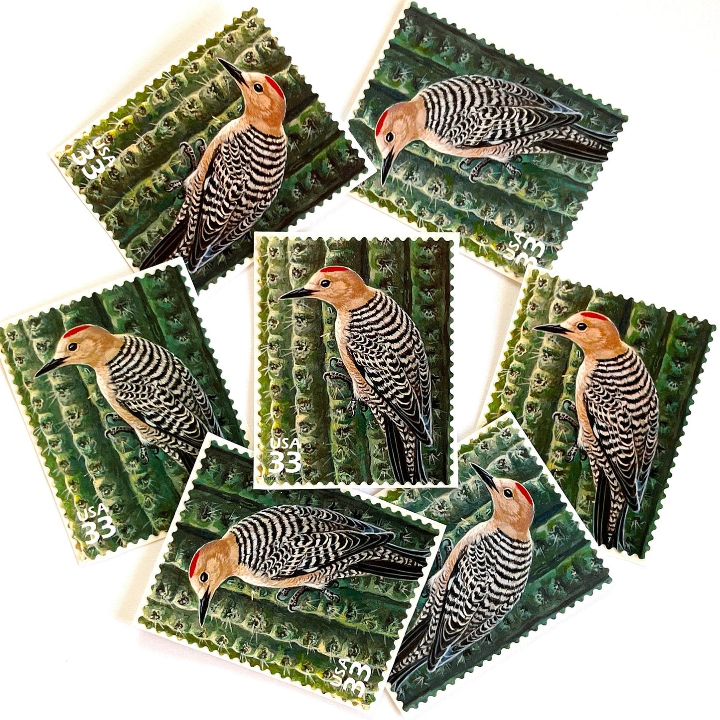 Image of Gila Woodpecker postage stamps from the 1999 Nature of America Sonoran Desert issue, featuring a brown desert bird perched on a cactus in a Southwestern landscape on vintage unused 33-cent USPS postage, Scott 3293j.