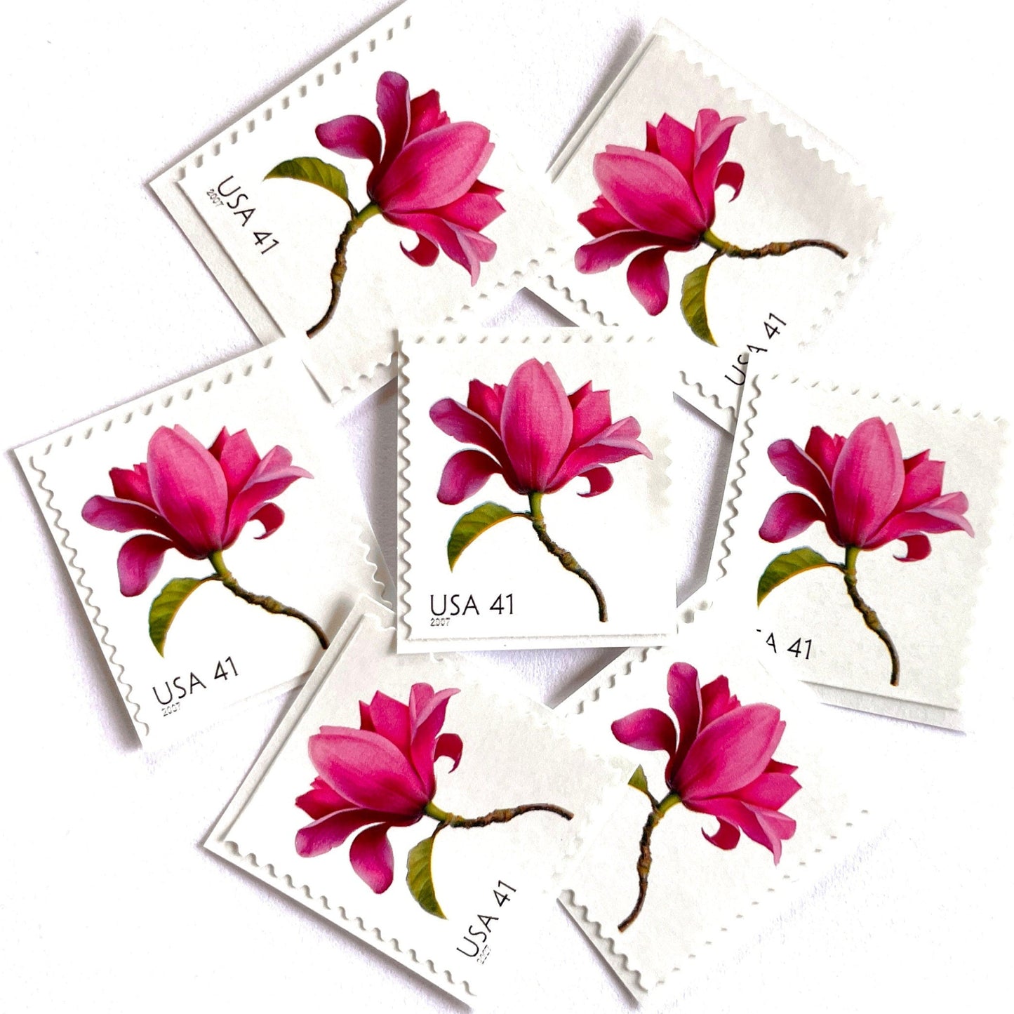 Image of 2007 Beautiful Blooms series “Magnolia” unused 41-cent vintage USPS mail stamps. Scott #4180. Stamp Themes: Flowers, Floral, Botanical, Fragrant, Gardening, Nature. Pink, Green, Multicolored self-adhesive postage stamp. Perfect postage stamp to use for save the date announcements, wedding invitation postage, bridal shower invitations, birth announcements, thank you cards, valentine’s day, and snail mail.
